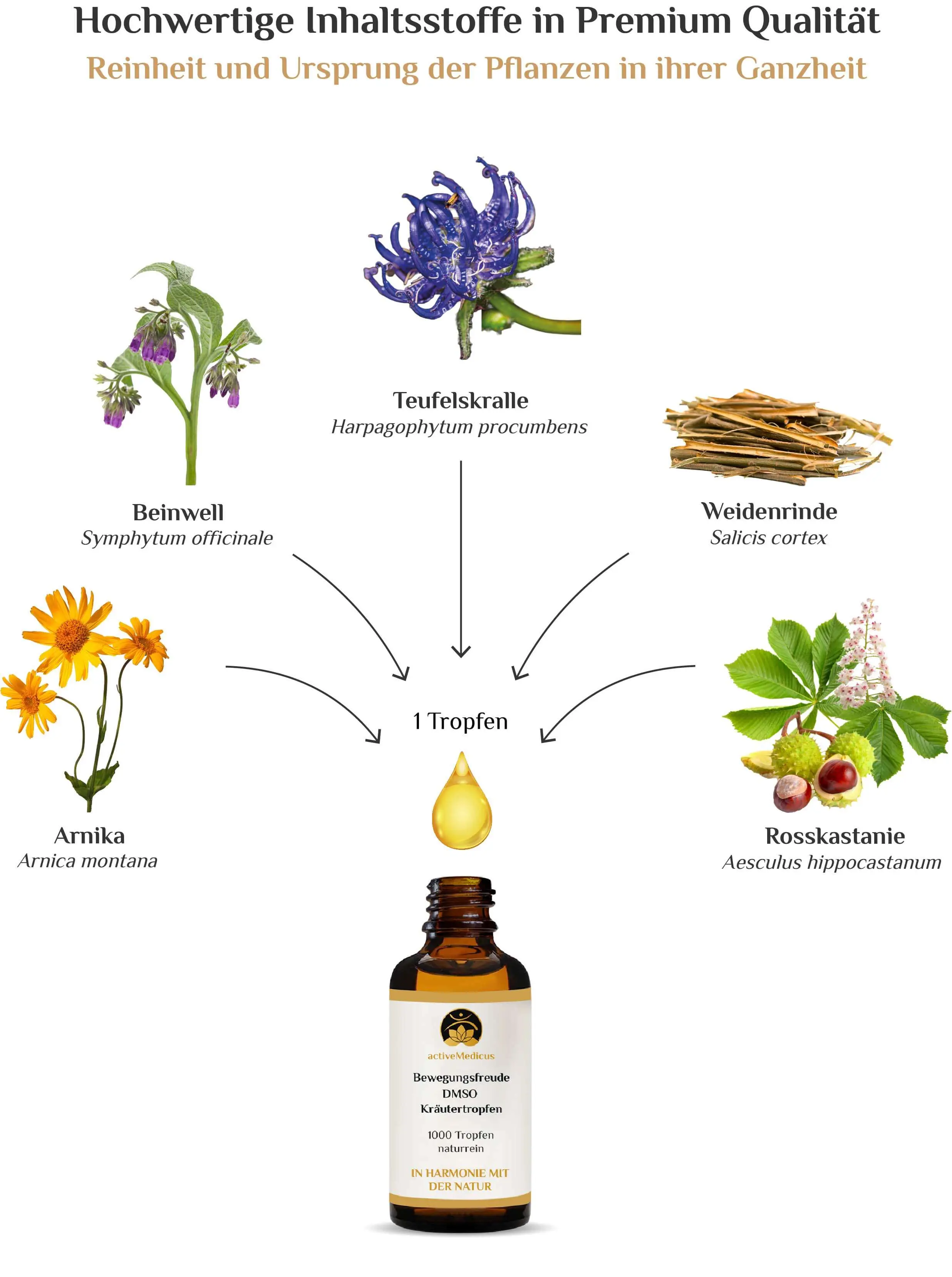 BewegungsFreude DMSO Kräutertropfen (50 ml, 1000 Tropfen)