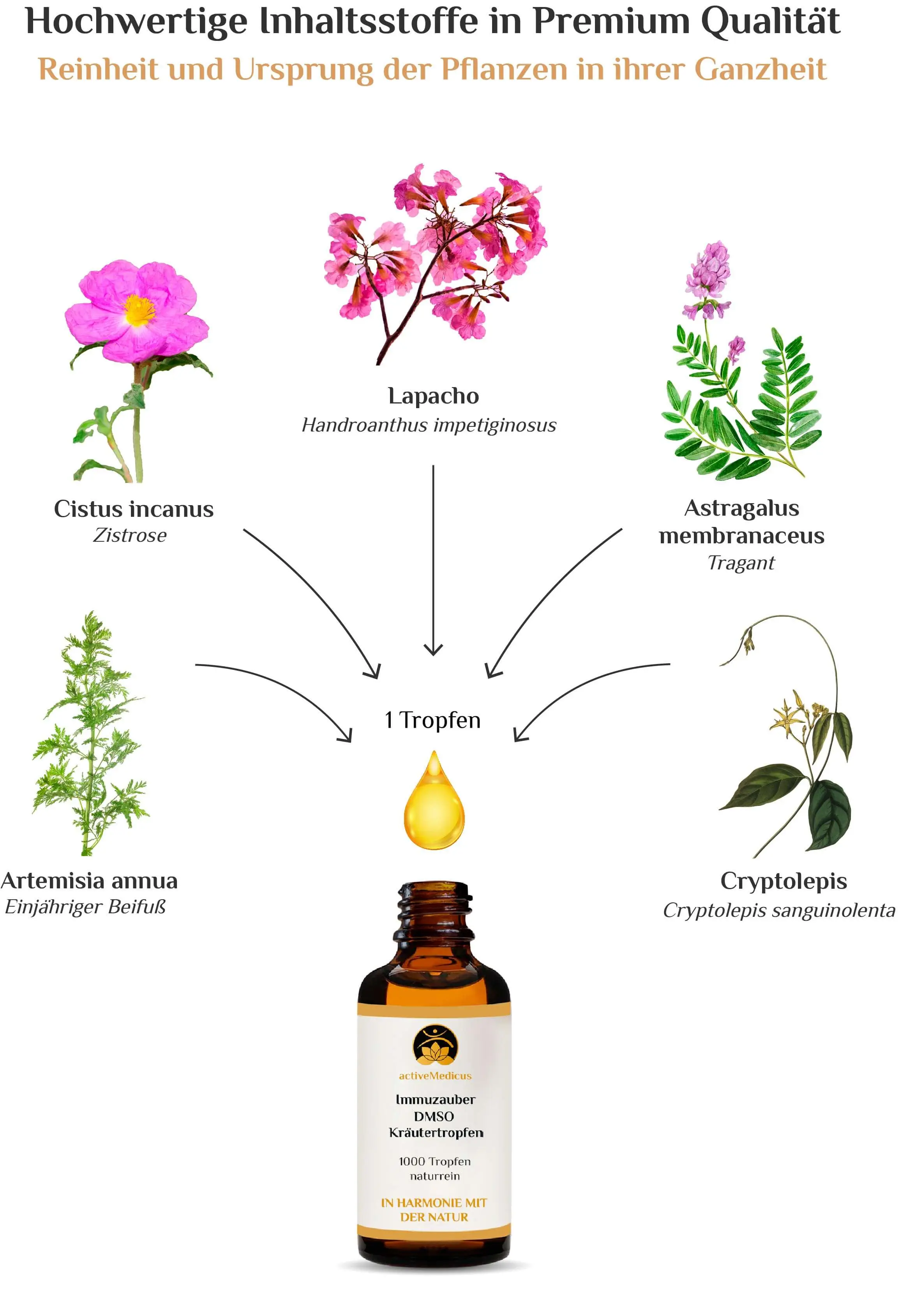 ImmuZauber DMSO Kräutertropfen (50 ml, 1000 Tropfen)