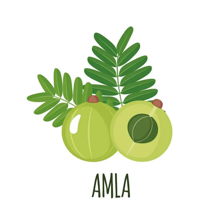 Superfood Amla bio Pulver 150g im Glas