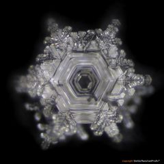 Nachher Bild 3 – harmonisierte Wasserstruktur nach Anwendung der TERRA Platte