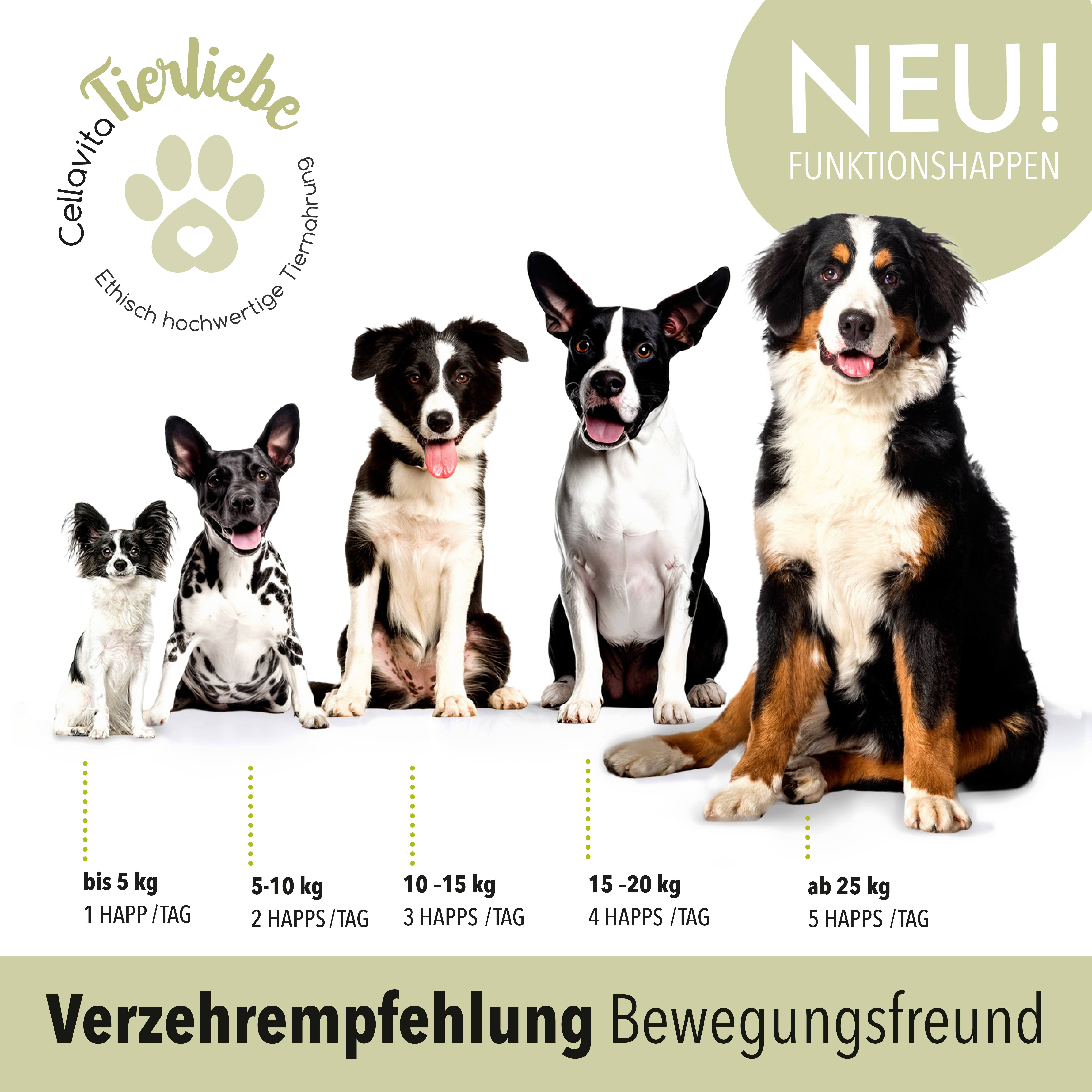Bewegungsfreund