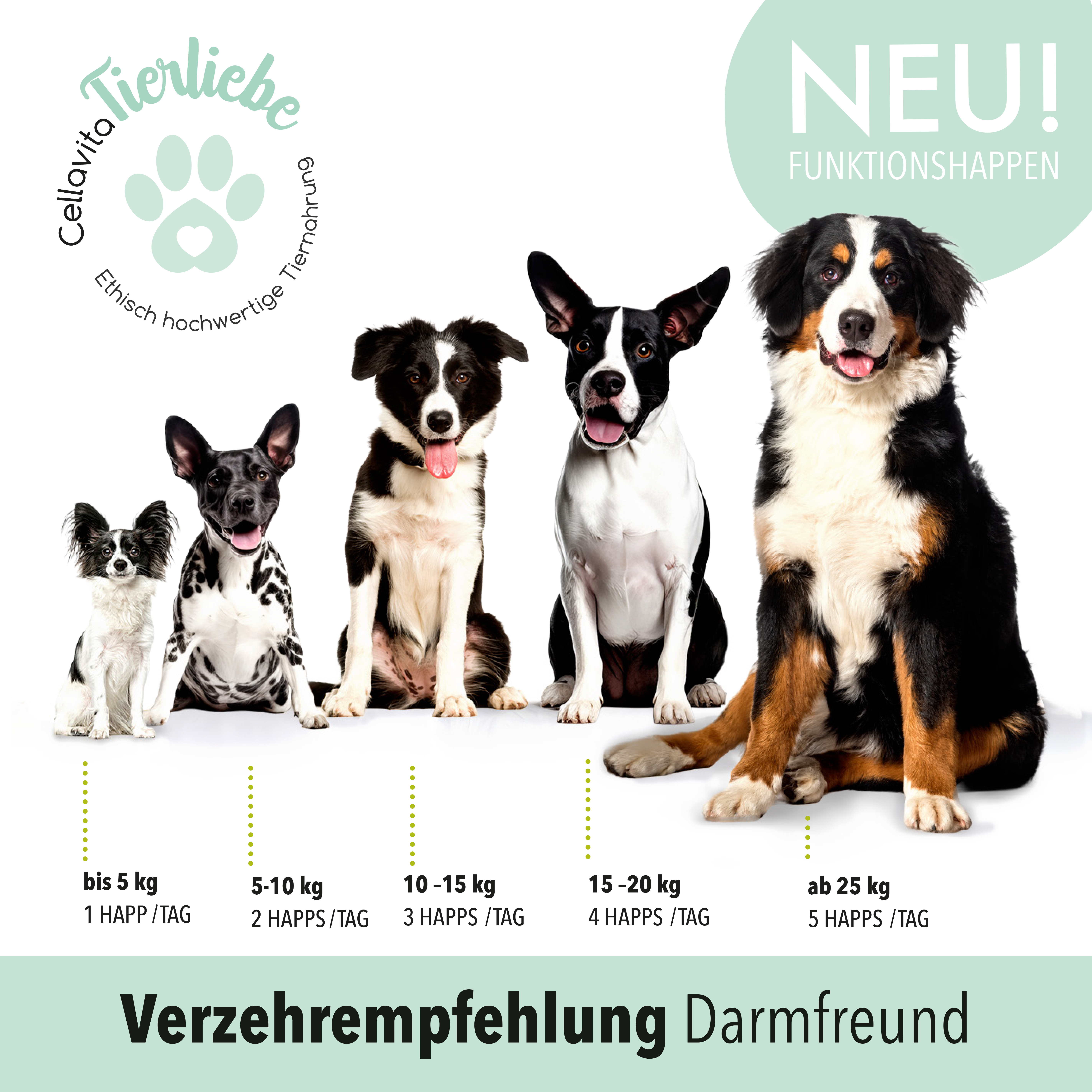 Darmfreund