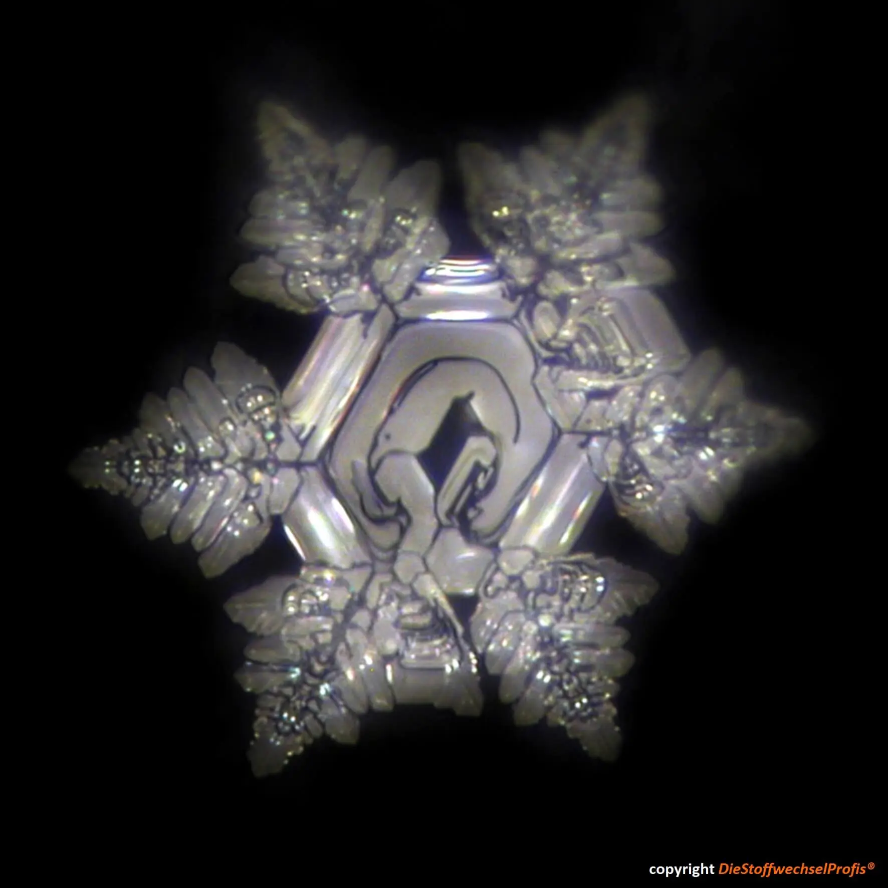 Hochenergie-Scheibe aus Glas by DieStoffwechselProfis® mit 90.10.® Quanten-Technologie