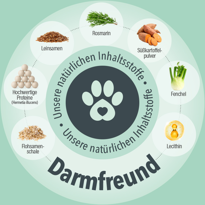 Darmfreund
