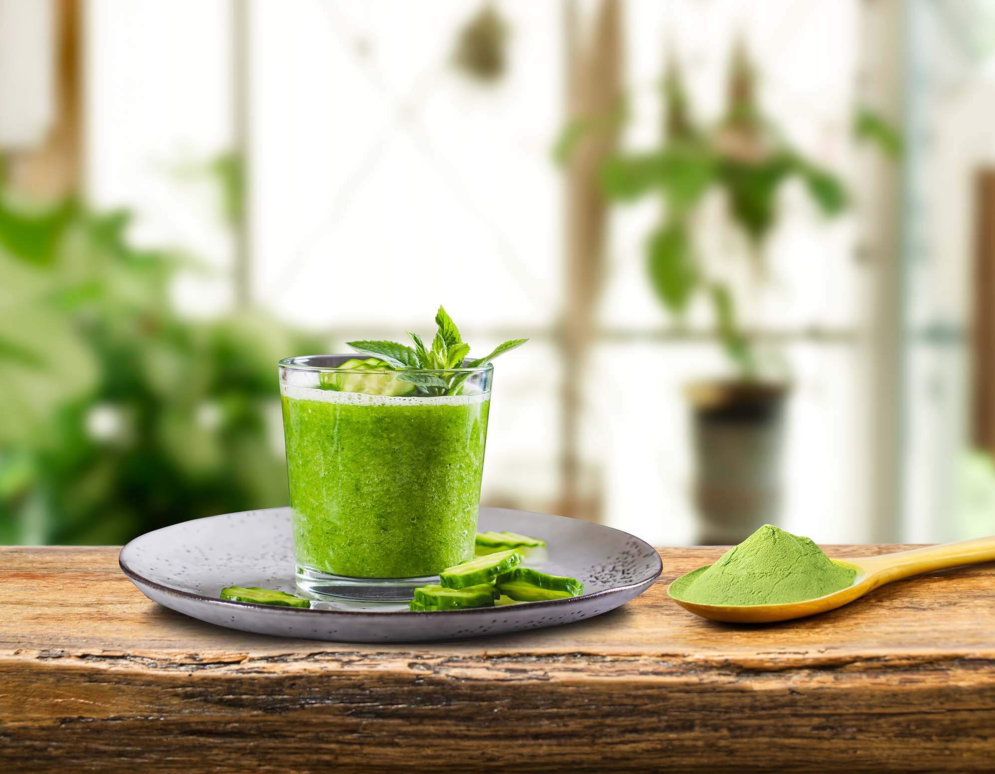 Bio Gerstengras Vita - 500g Pulver im Vorratsbeutel