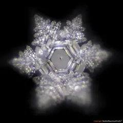 Hochenergie-TERRA-Platte  by DieStoffwechselProfis® mit 90.10.® Quanten-Technologie