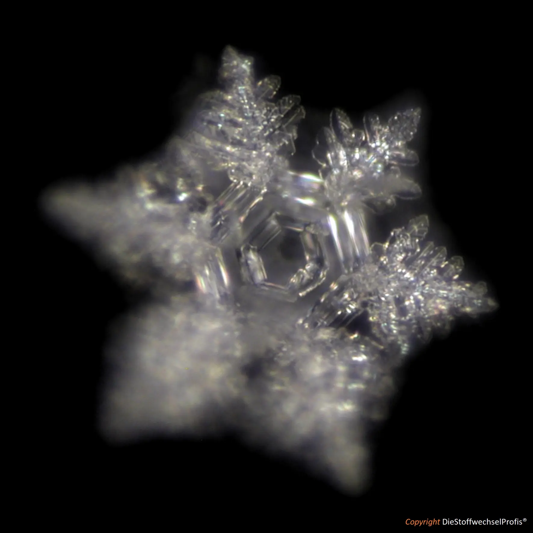 Hochenergie-TERRA-Set by DieStoffwechselProfis® mit 90.10.® Quanten-Technologie