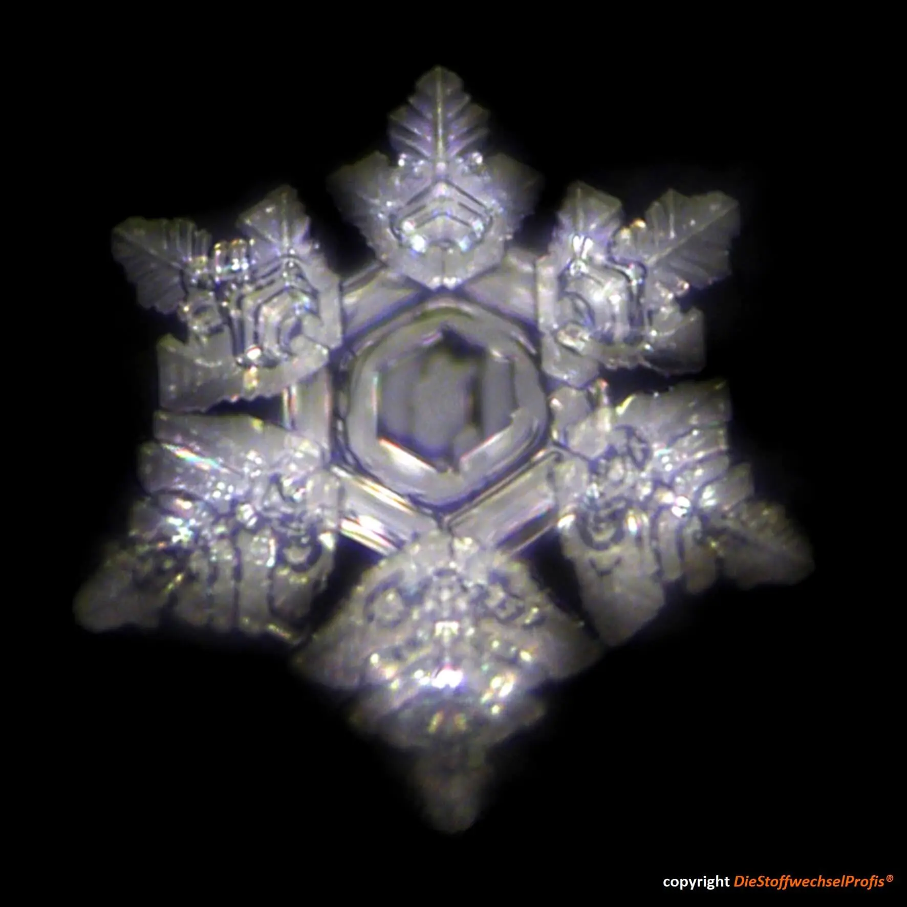 Hochenergie-Scheibe aus Glas by DieStoffwechselProfis® mit 90.10.® Quanten-Technologie