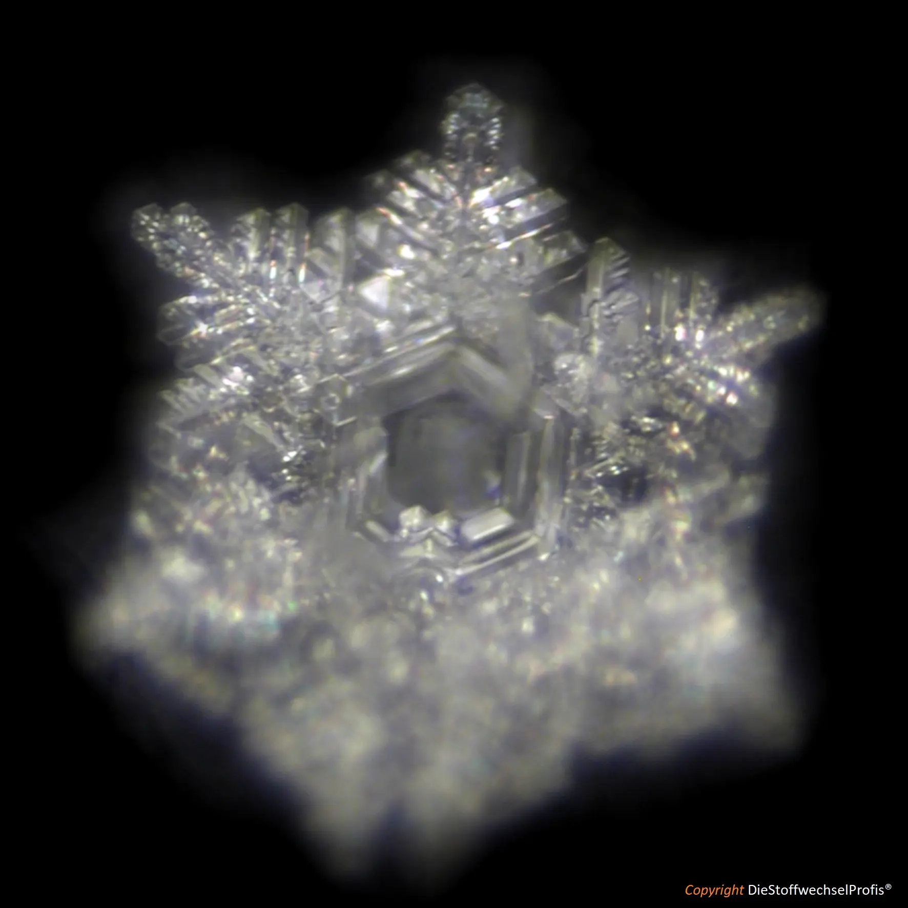 Hochenergie-TERRA-Set by DieStoffwechselProfis® mit 90.10.® Quanten-Technologie