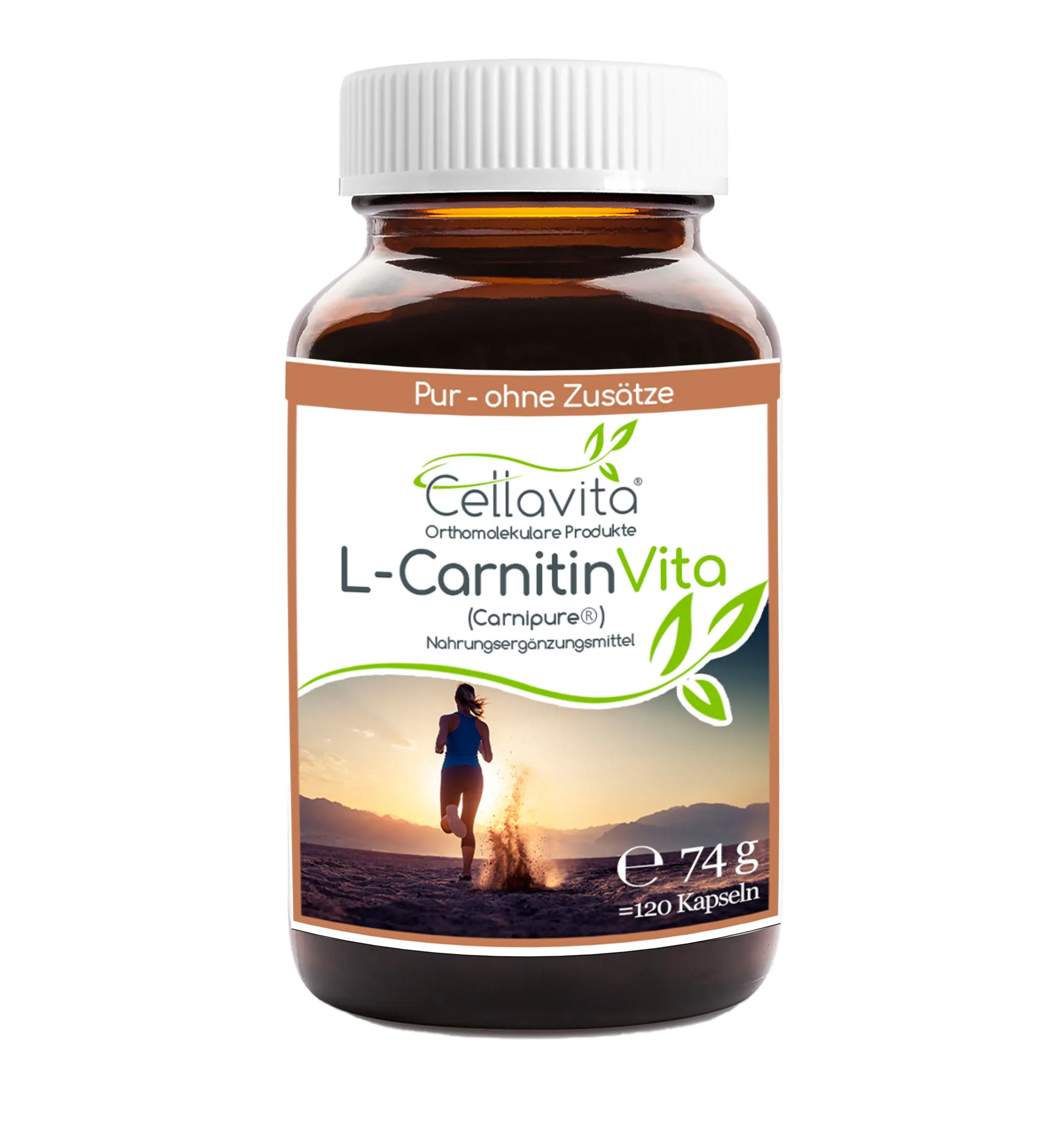 L-Carnitin Vita Kapseln 