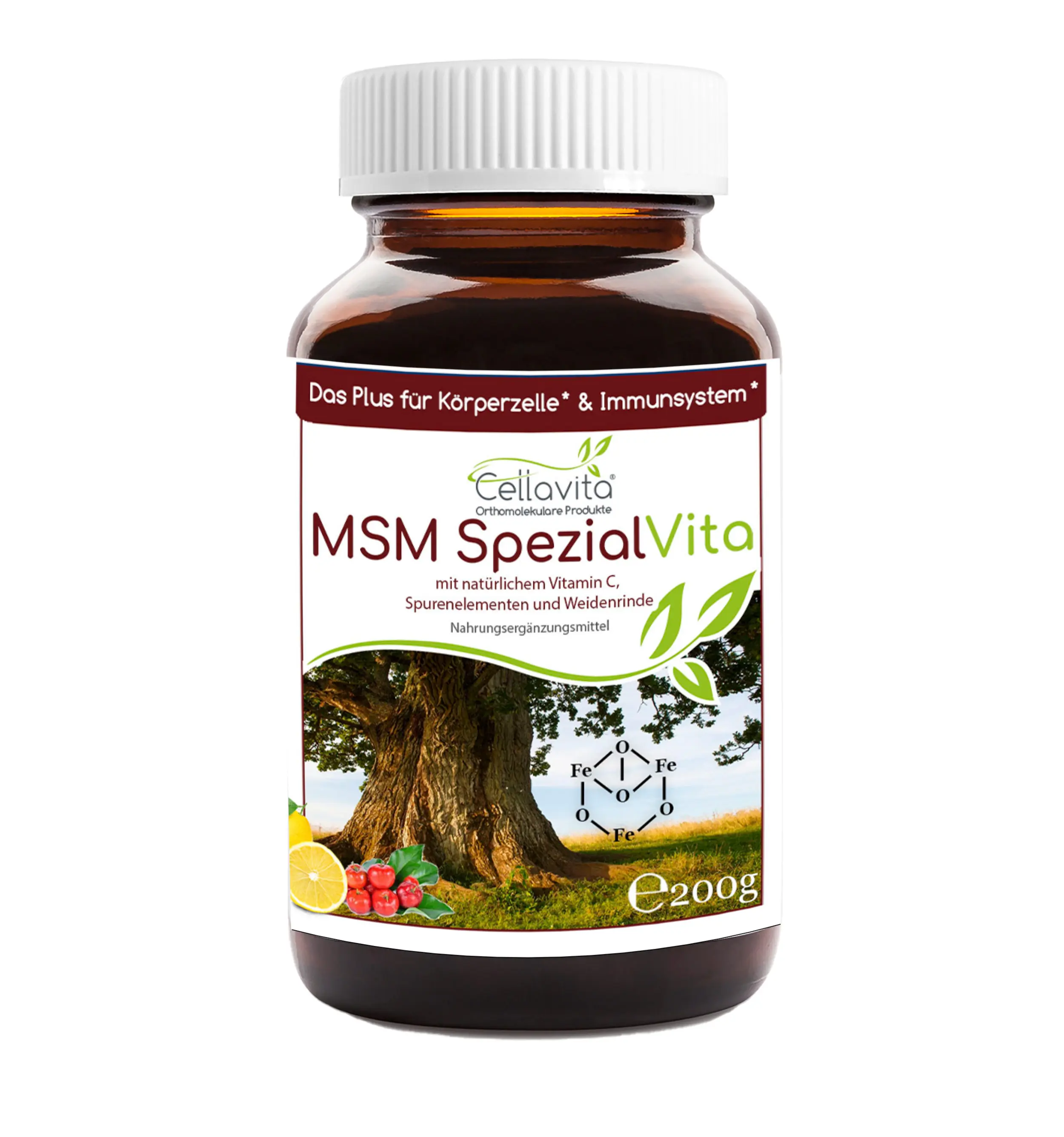 MSM Spezial Vita mit Vitamin C Pulver