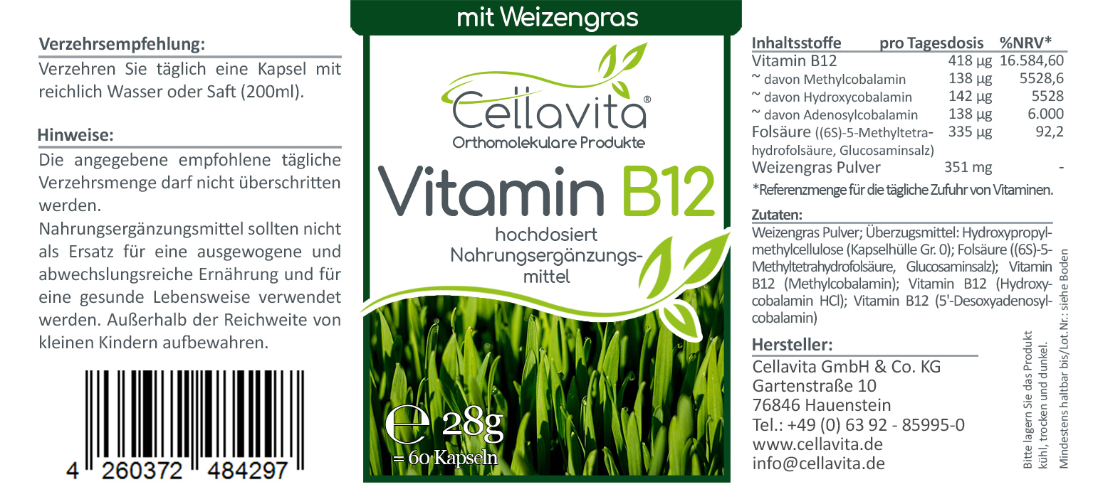 Vitamin B12 hochdosiert Kapseln 