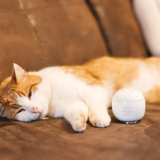 Klangei Next® Somnia