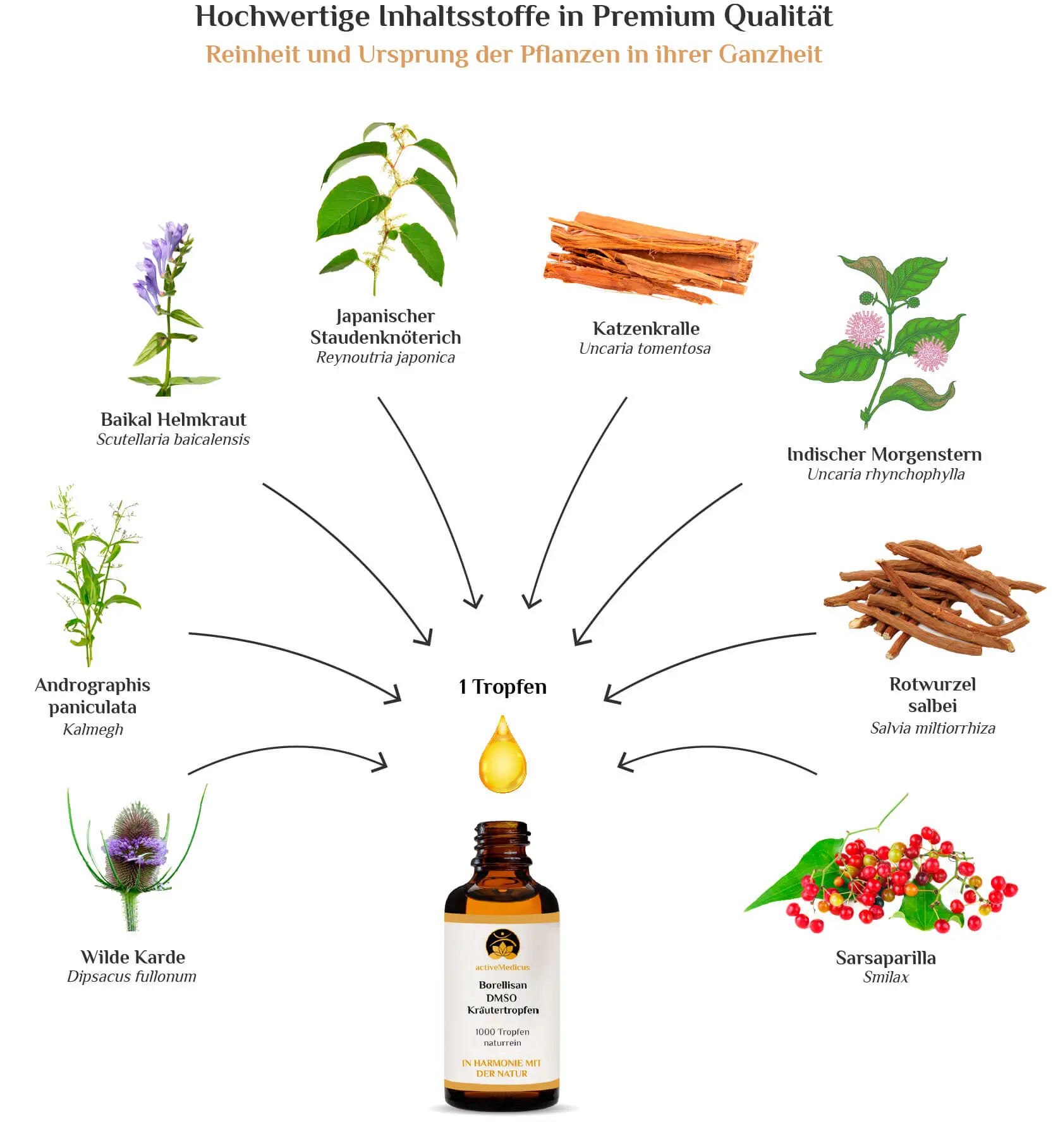 BorelliSan DMSO Kräutertropfen (50 ml, 1000 Tropfen)