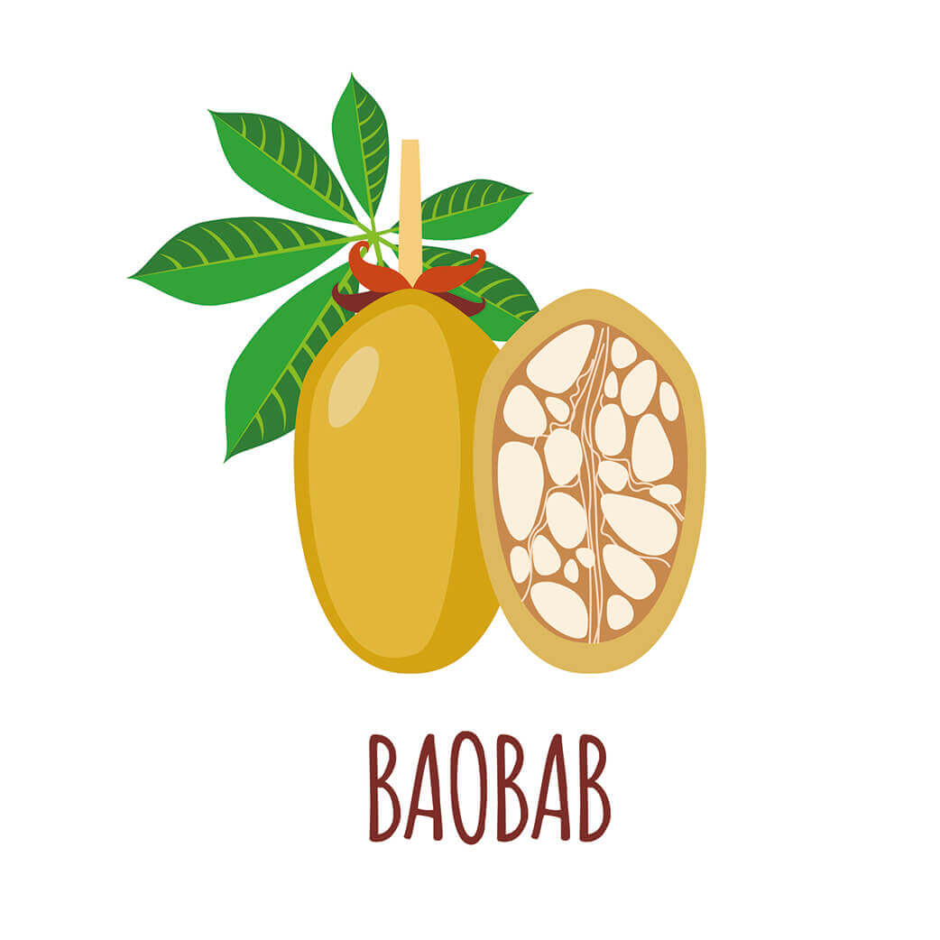 Superfood Baobab bio Pulver 90g im Glas