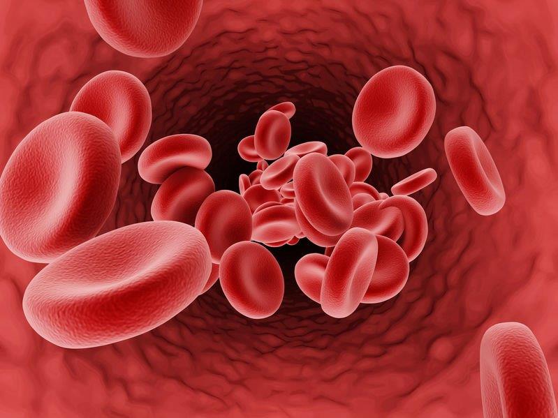 Nattokinase Vita Kapseln (Das Plus für Blut & Zelle) 