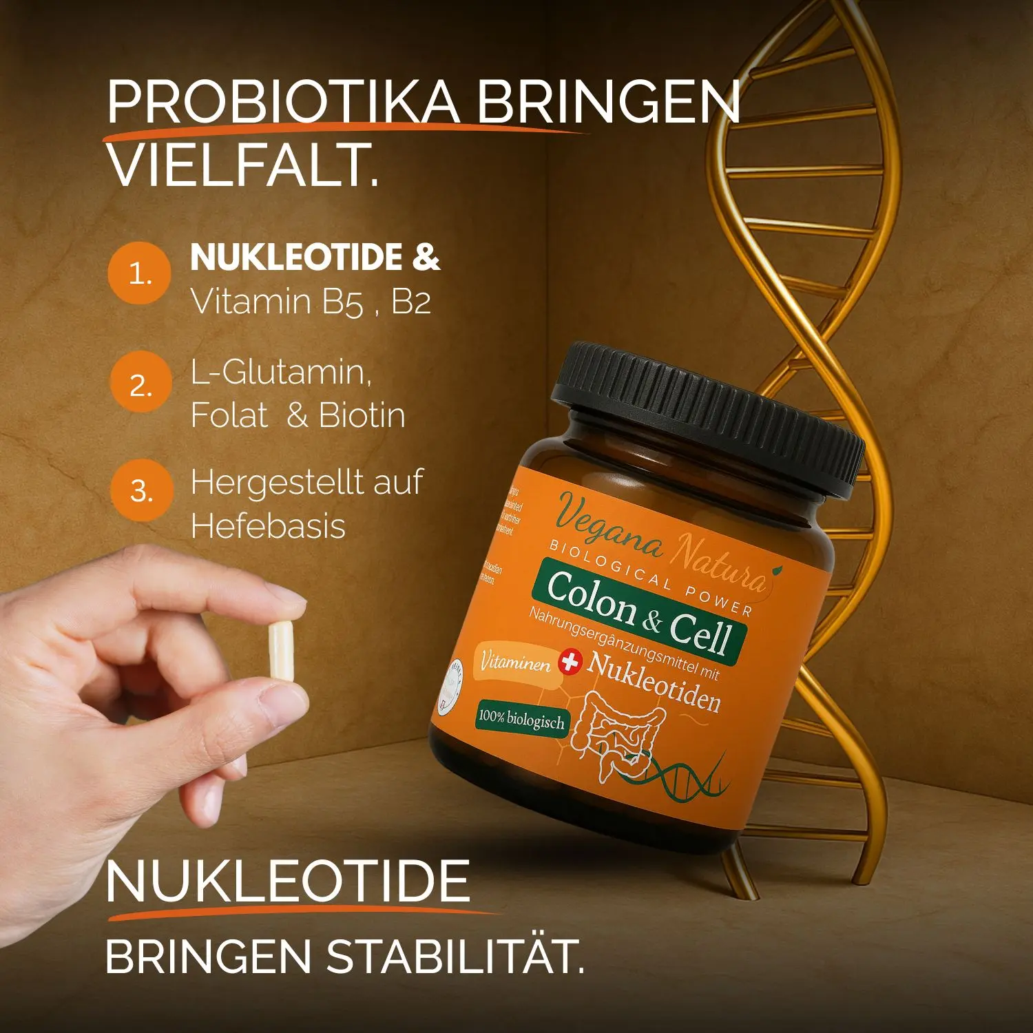 Colon & Cell Nukleotiden