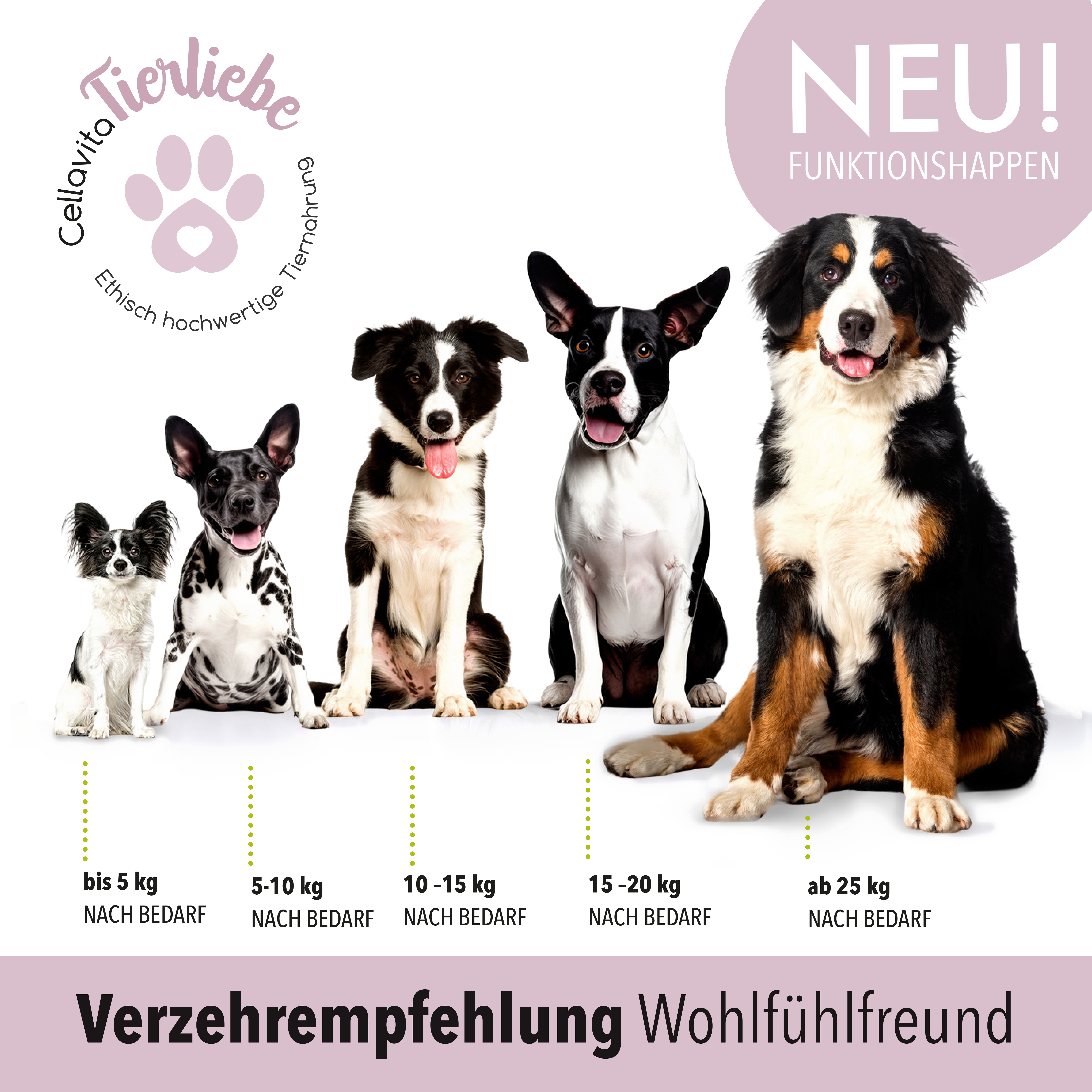 Wohlfühlfreund