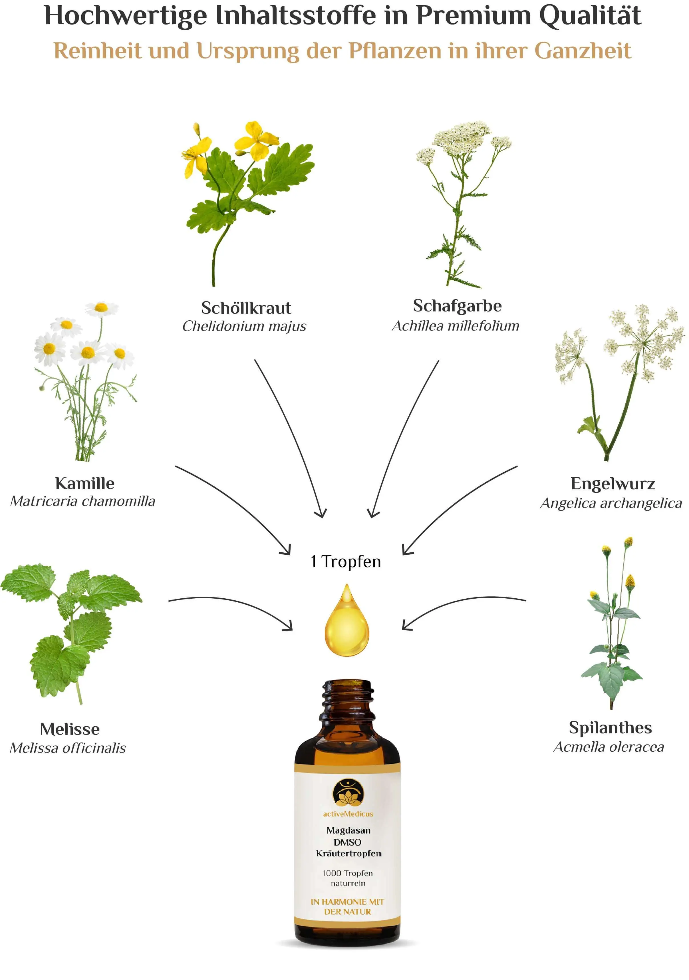 MagDaSan DMSO Kräutertropfen (50 ml, 1000 Tropfen)
