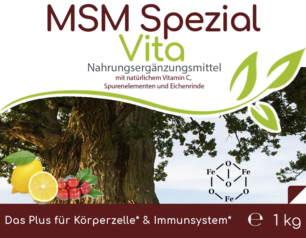 MSM Spezial Vita mit Vitamin C Pulver