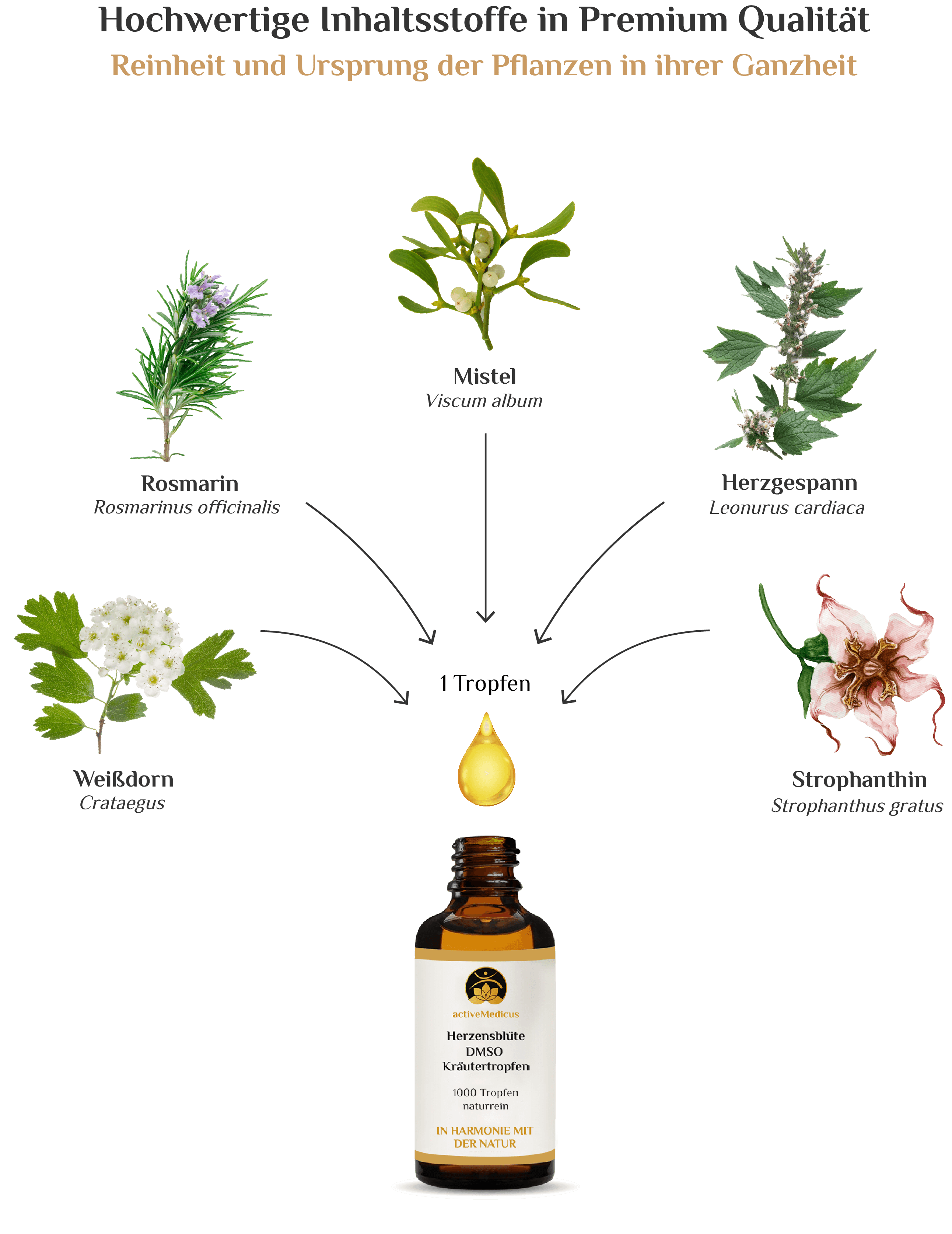 Herzensblüte DMSO Kräutertropfen (50 ml, 1000 Tropfen)
