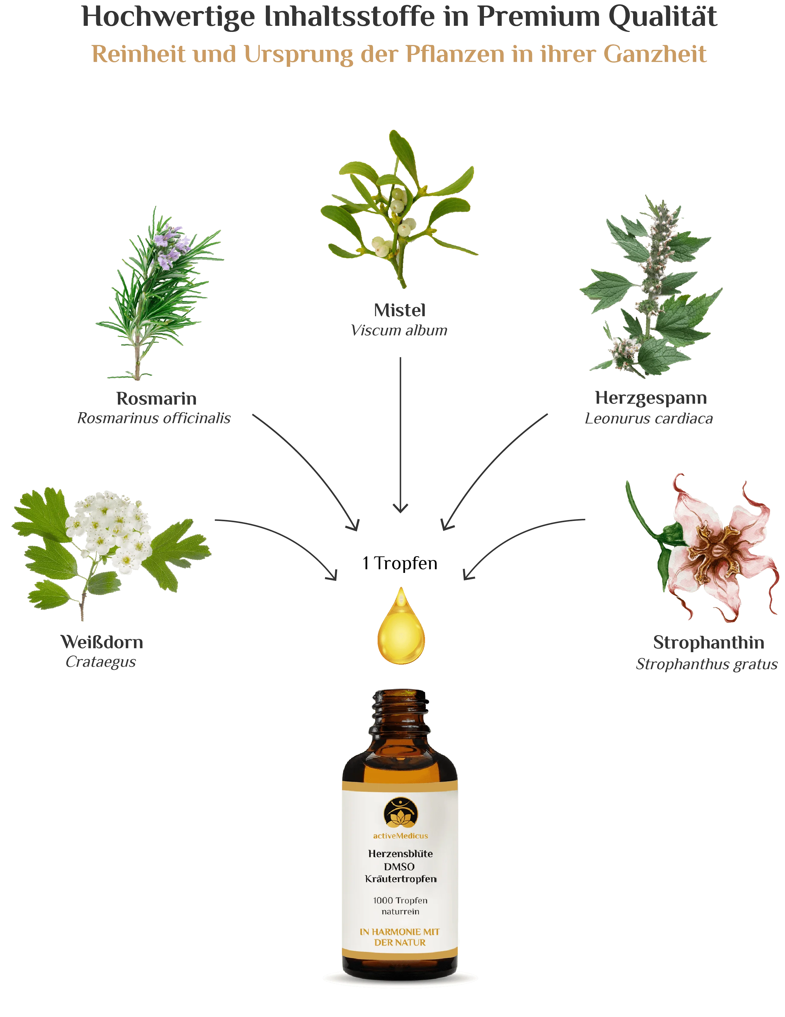 Herzensblüte DMSO Kräutertropfen (50 ml, 1000 Tropfen)