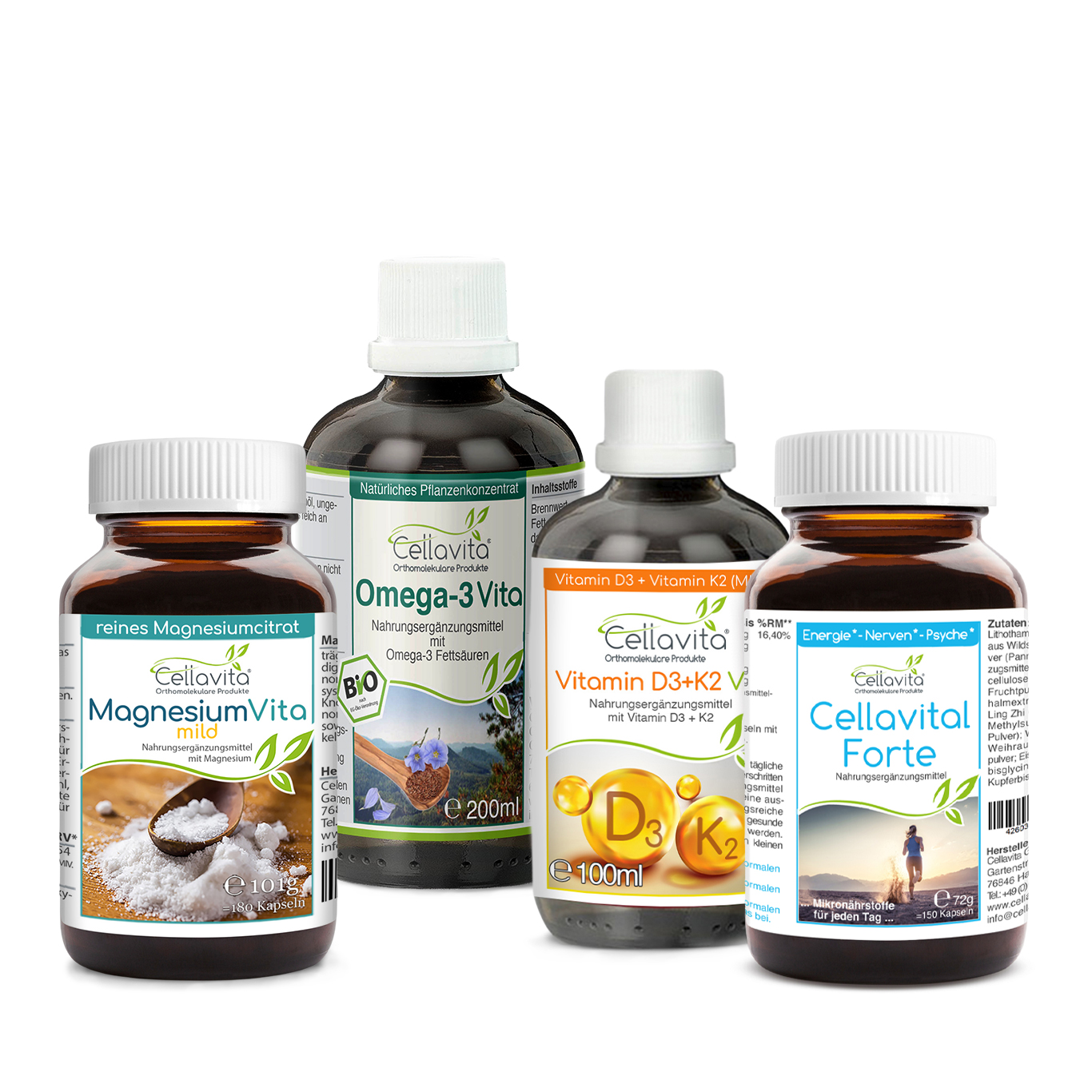 Vital Starter Kompass I