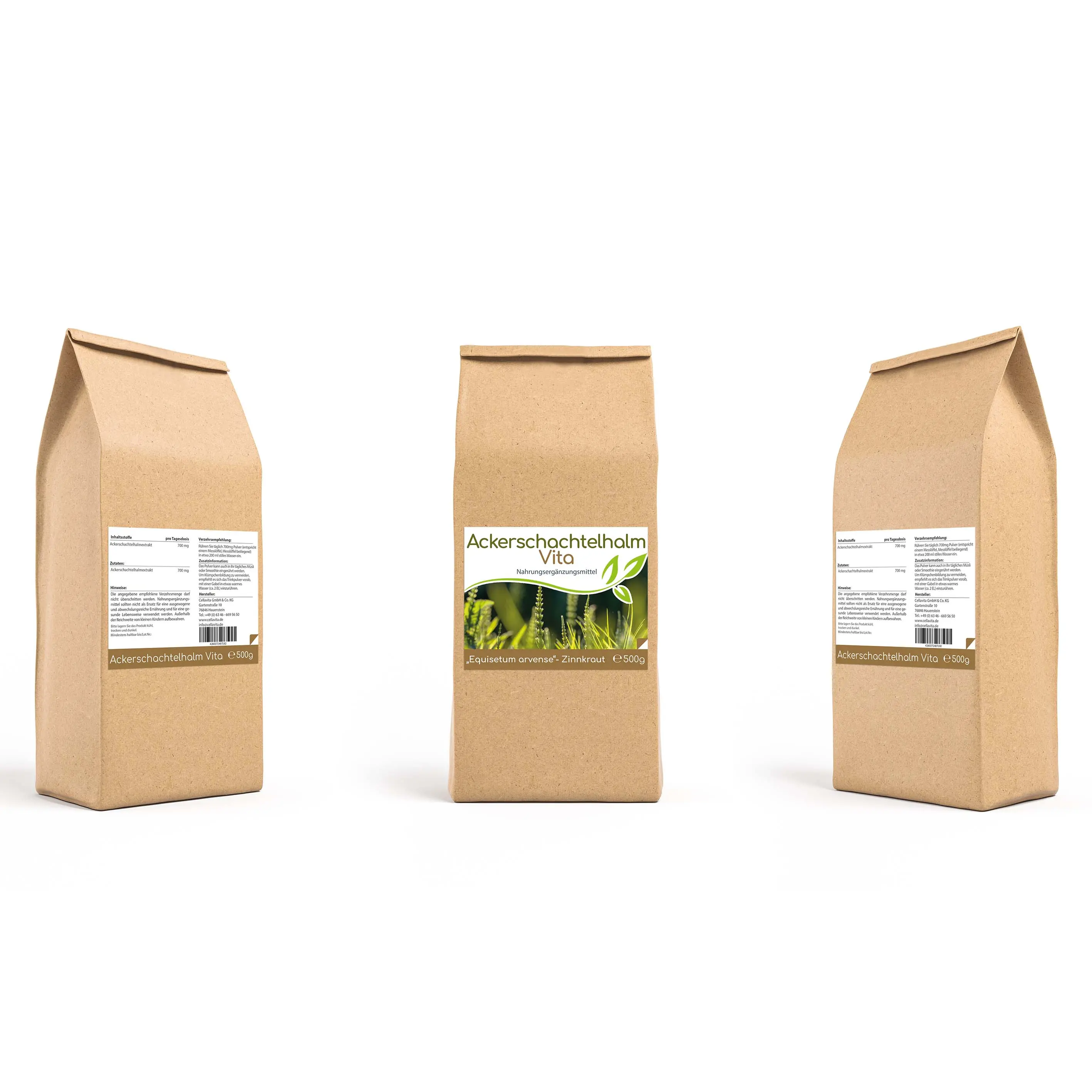 Ackerschachtelhalm (Zinnkraut) Vita