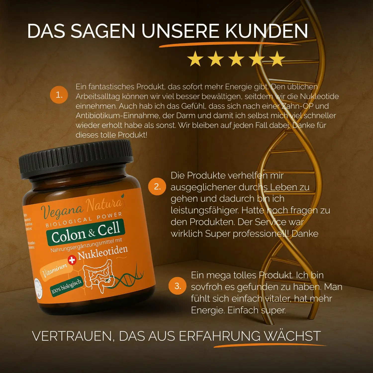 Colon & Cell Nukleotiden