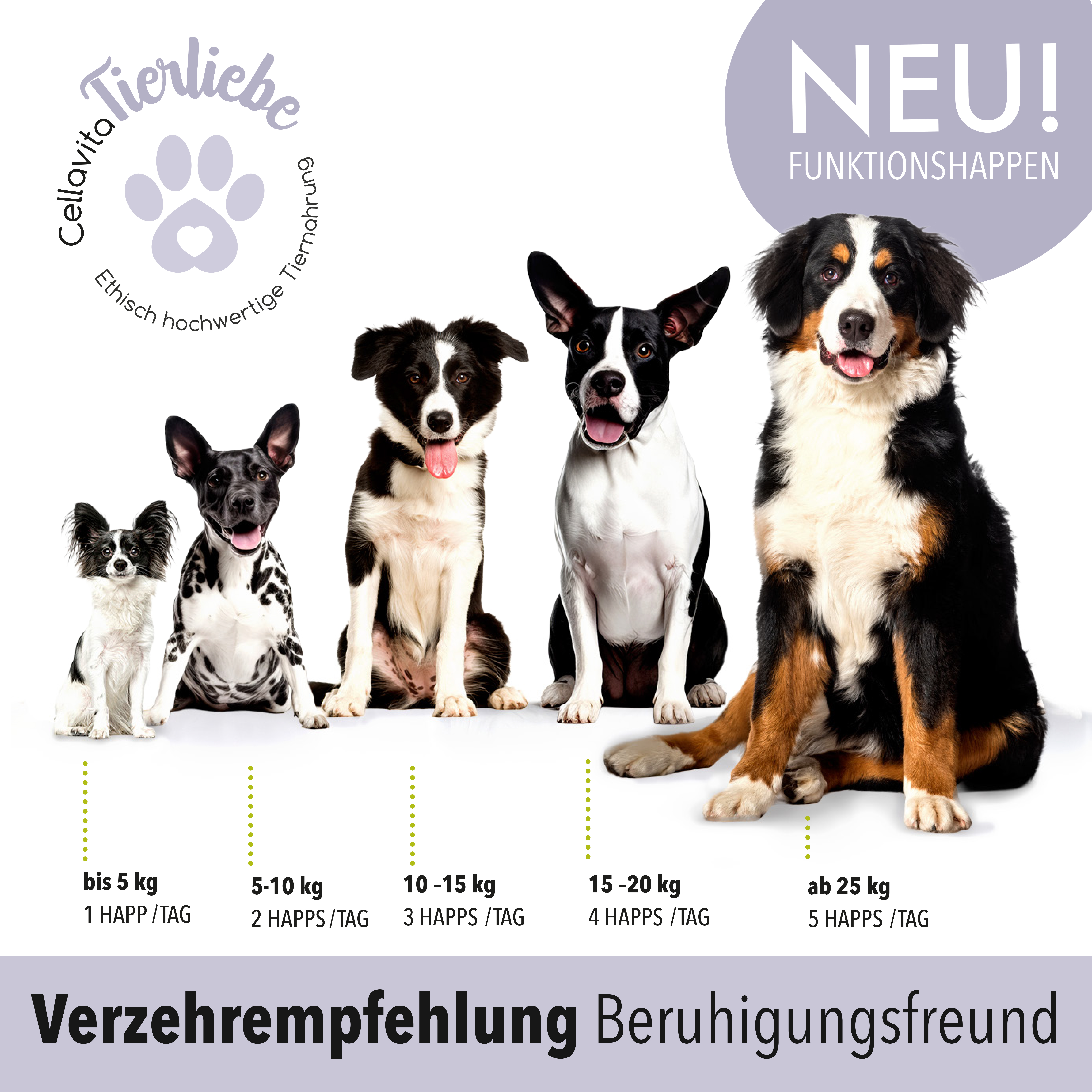 Beruhigungsfreund
