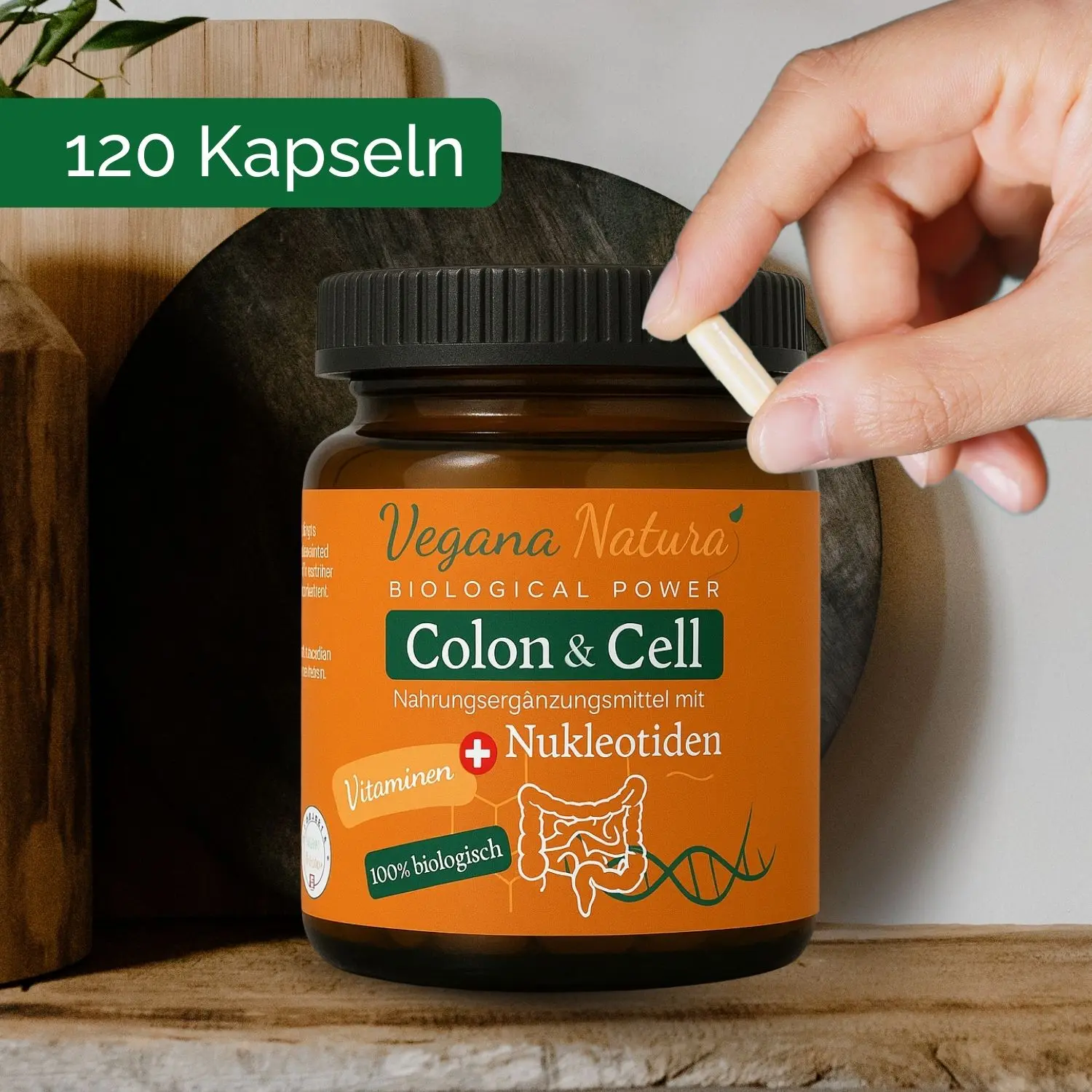 Colon & Cell Nukleotiden