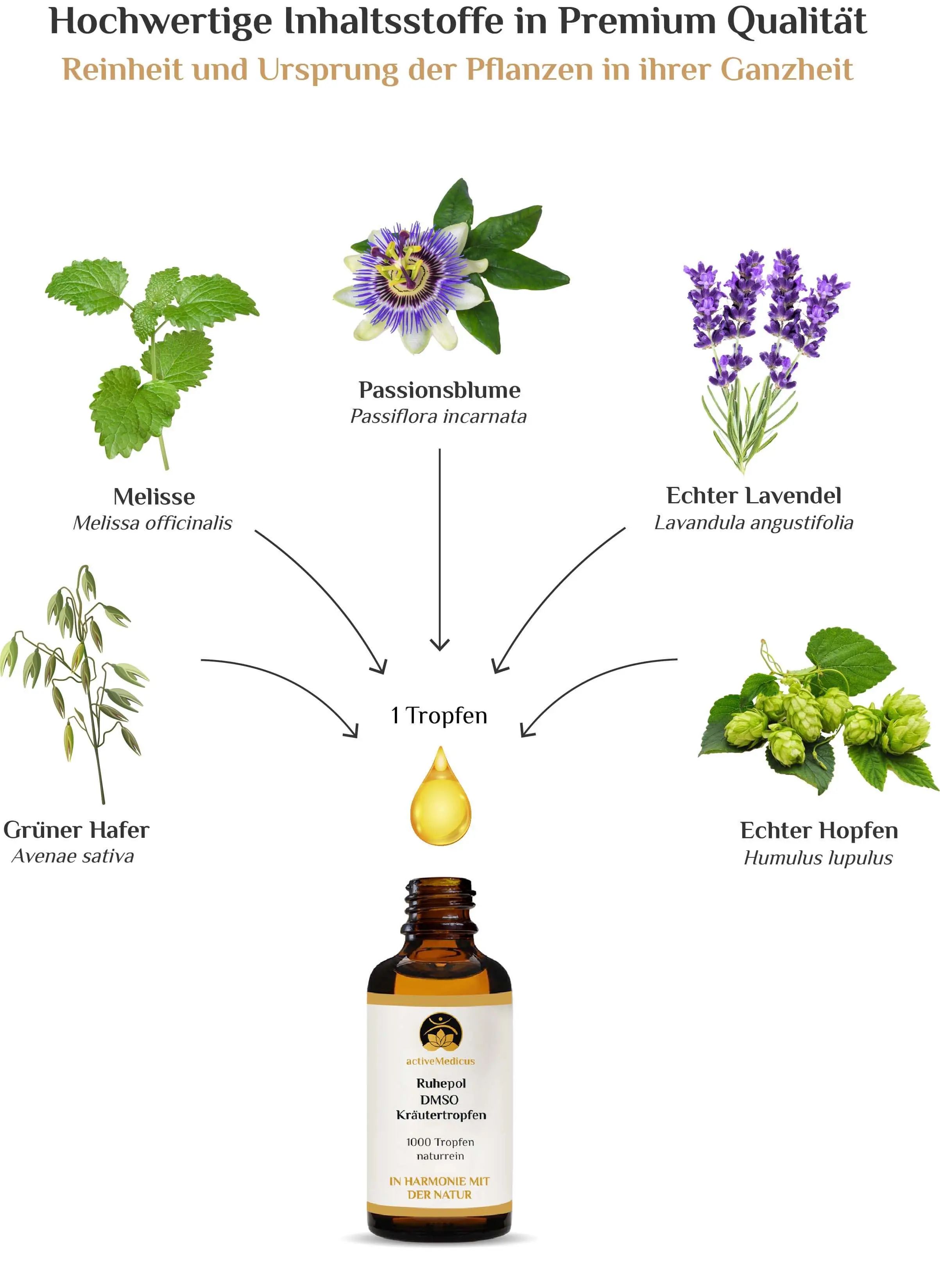 RuhePol DMSO Kräutertropfen (50 ml, 1000 Tropfen)