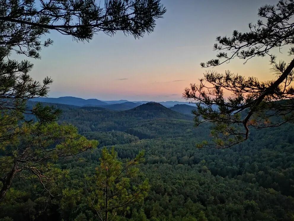 L-Arginin Vita Pulver