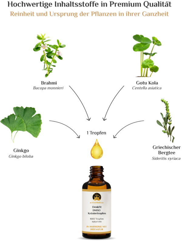 DenkFit DMSO Kräutertropfen (50 ml, 1000 Tropfen)