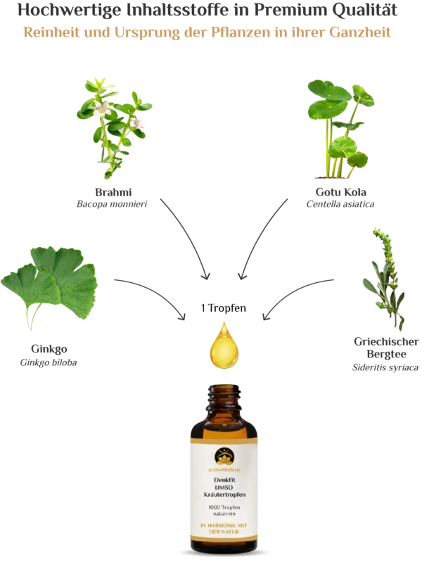 DenkFit DMSO Kräutertropfen (50 ml, 1000 Tropfen)