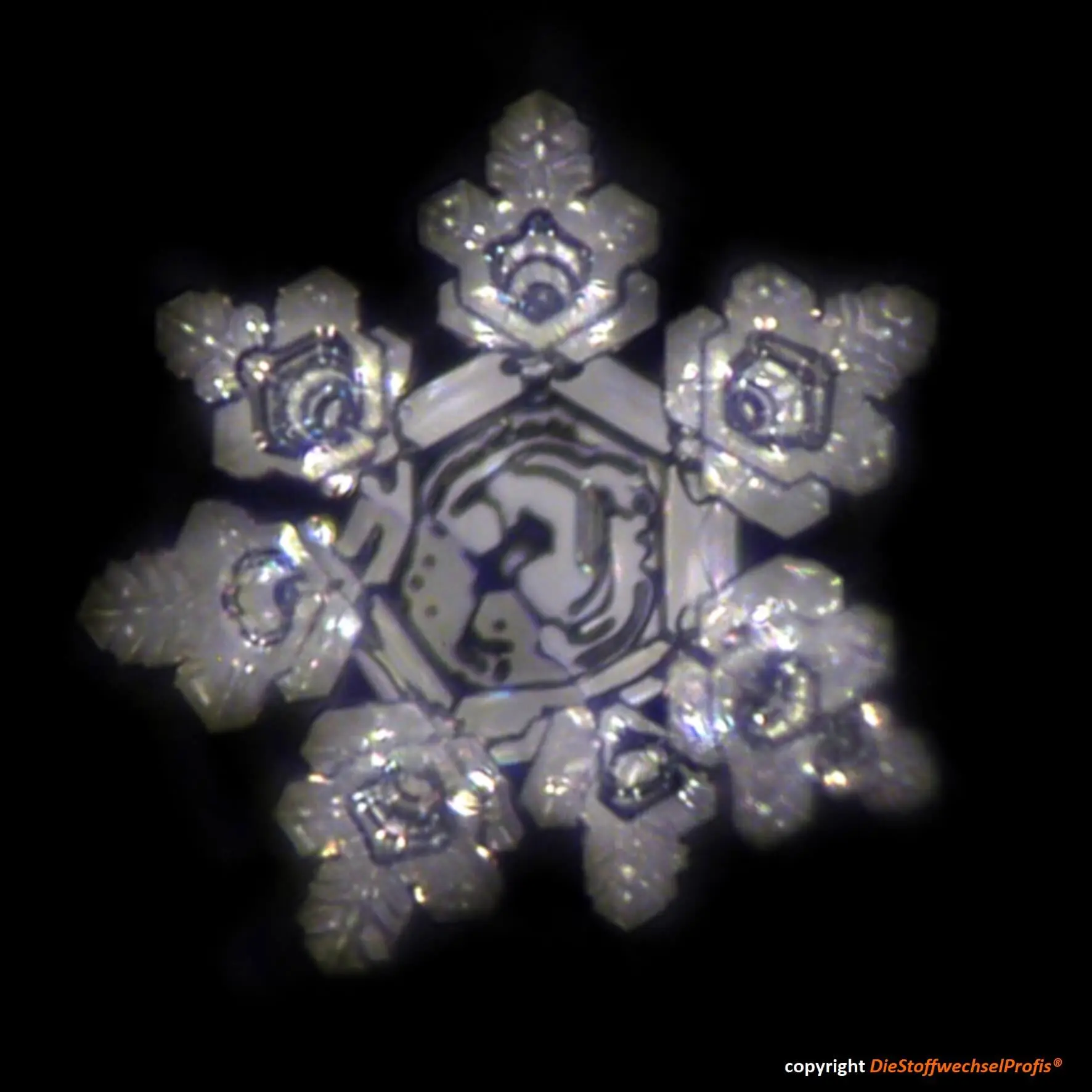 Hochenergie-Scheibe aus Glas by DieStoffwechselProfis® mit 90.10.® Quanten-Technologie