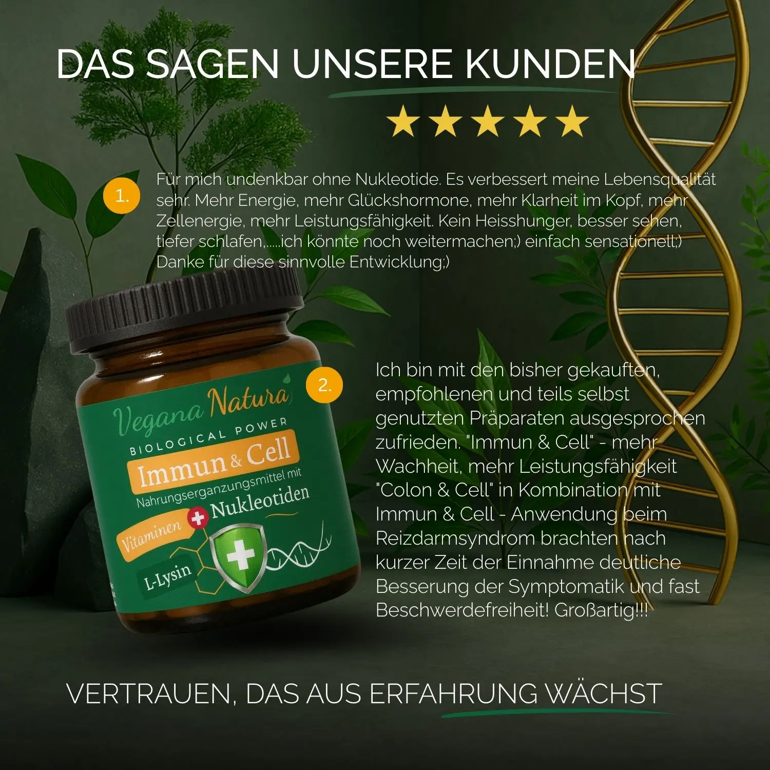 Immun & Cell (Nukleotide)