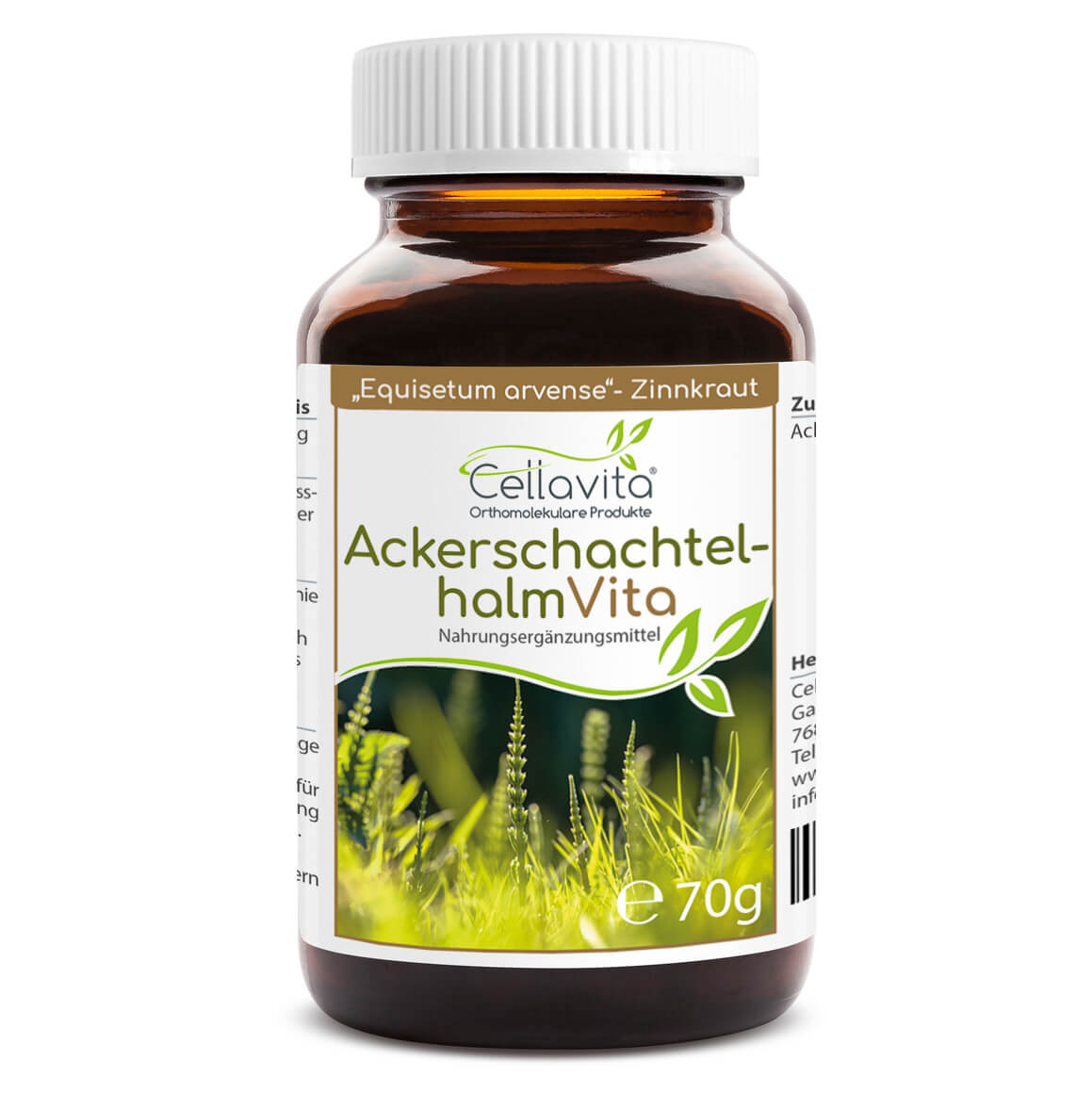 Ackerschachtelhalm (Zinnkraut) Vita Ackerschachtelhalm (Zinnkraut) Vita