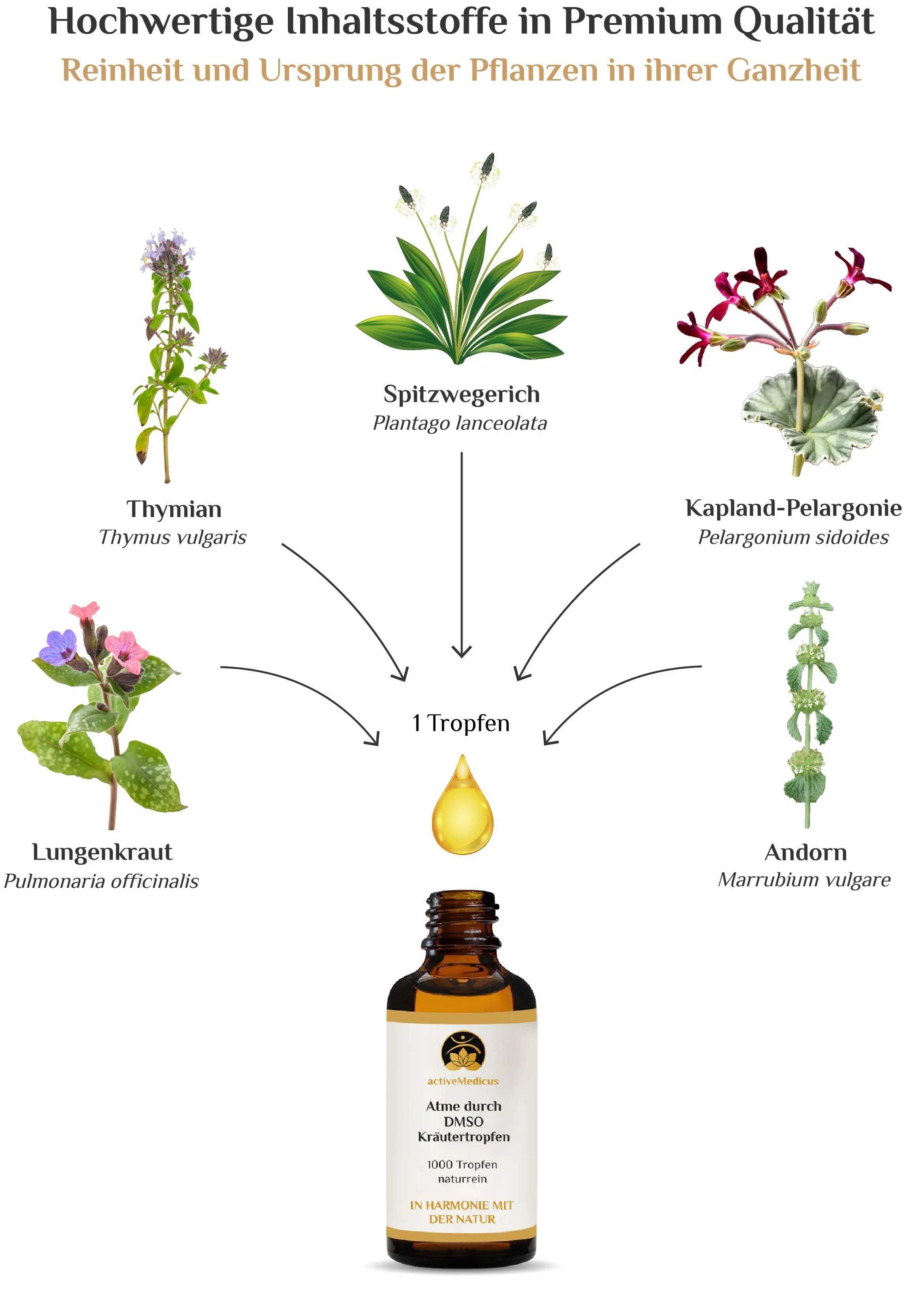 Atme durch DMSO Kräutertropfen (50 ml, 1000 Tropfen)