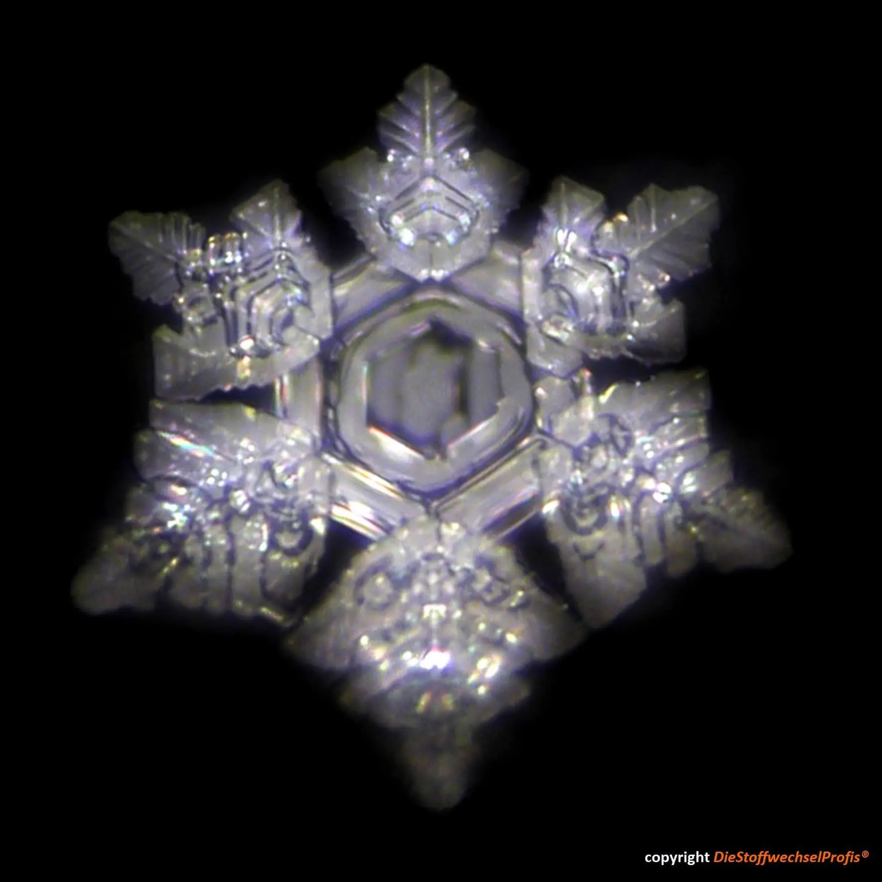 DieStoffwechselProfis® - Hochenergie Set Premium Set