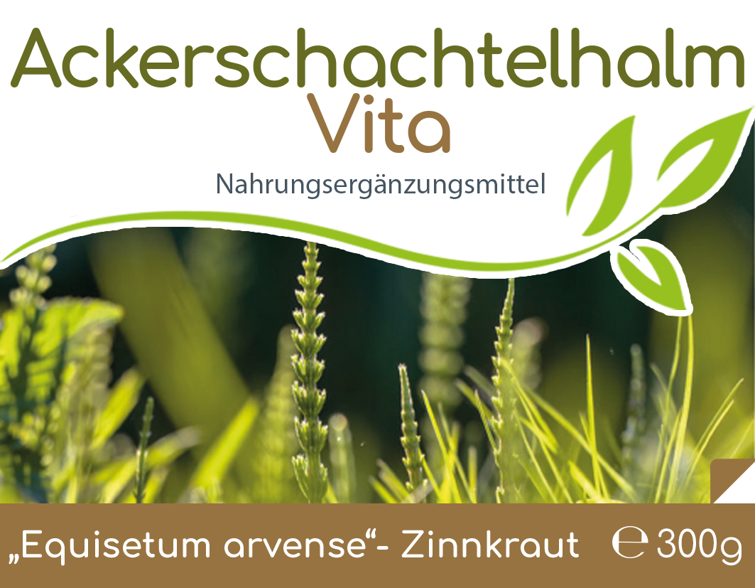 Ackerschachtelhalm (Zinnkraut) Vita
