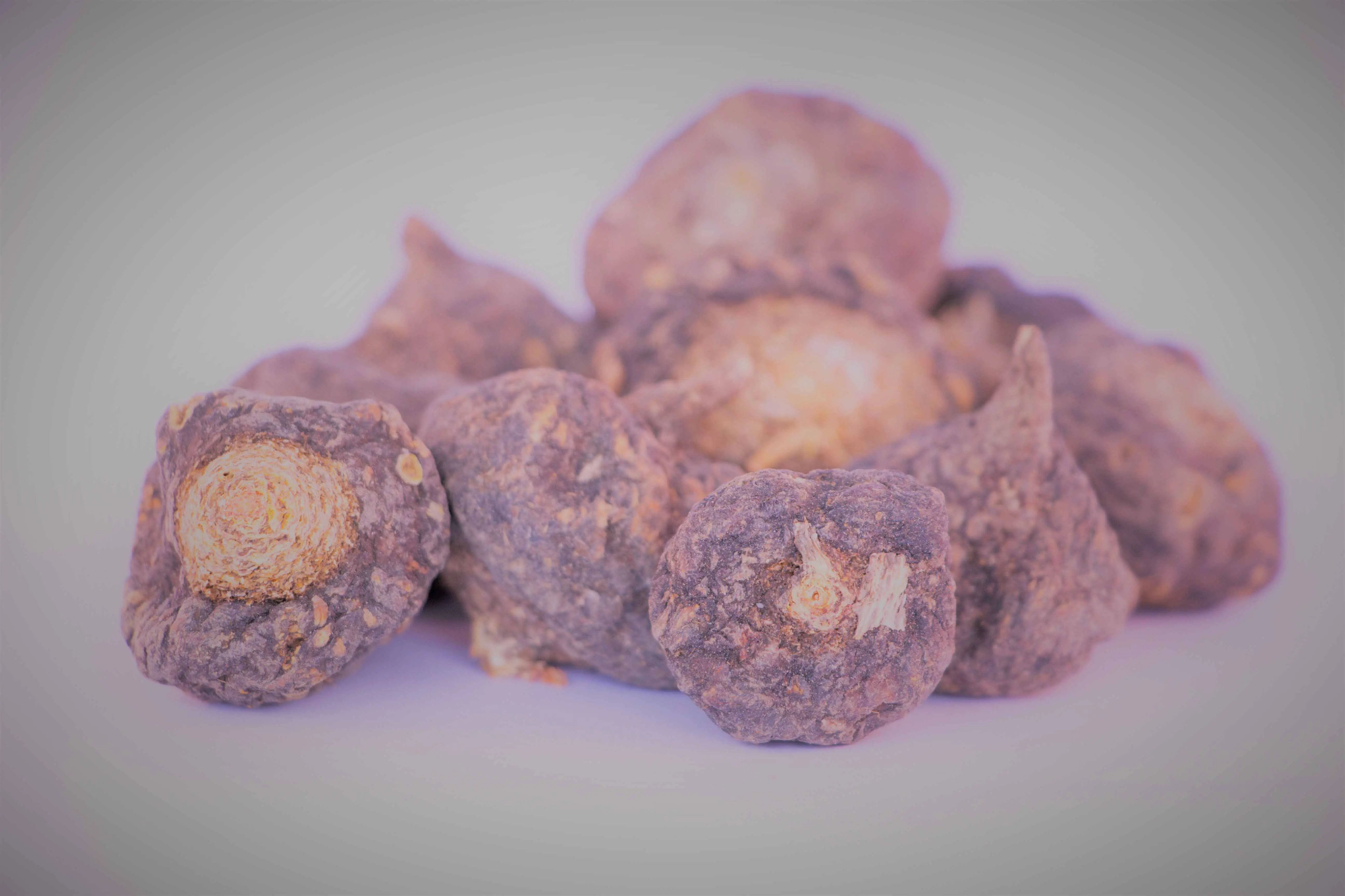 Bio-Maca Vita rot (3,5 Monatsvorrat) - 500 g Pulver im Vorratsbeutel