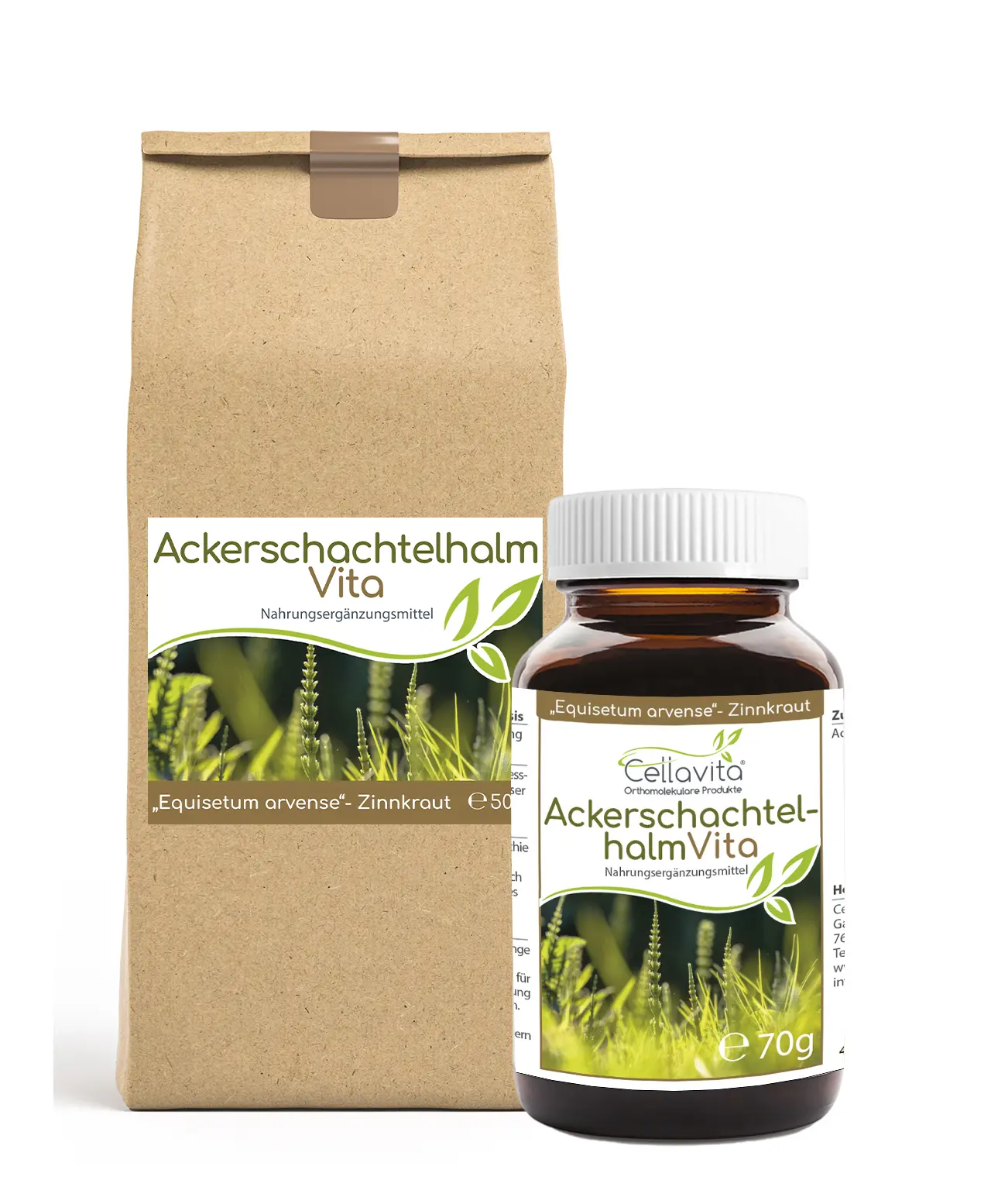 Ackerschachtelhalm (Zinnkraut) Vita