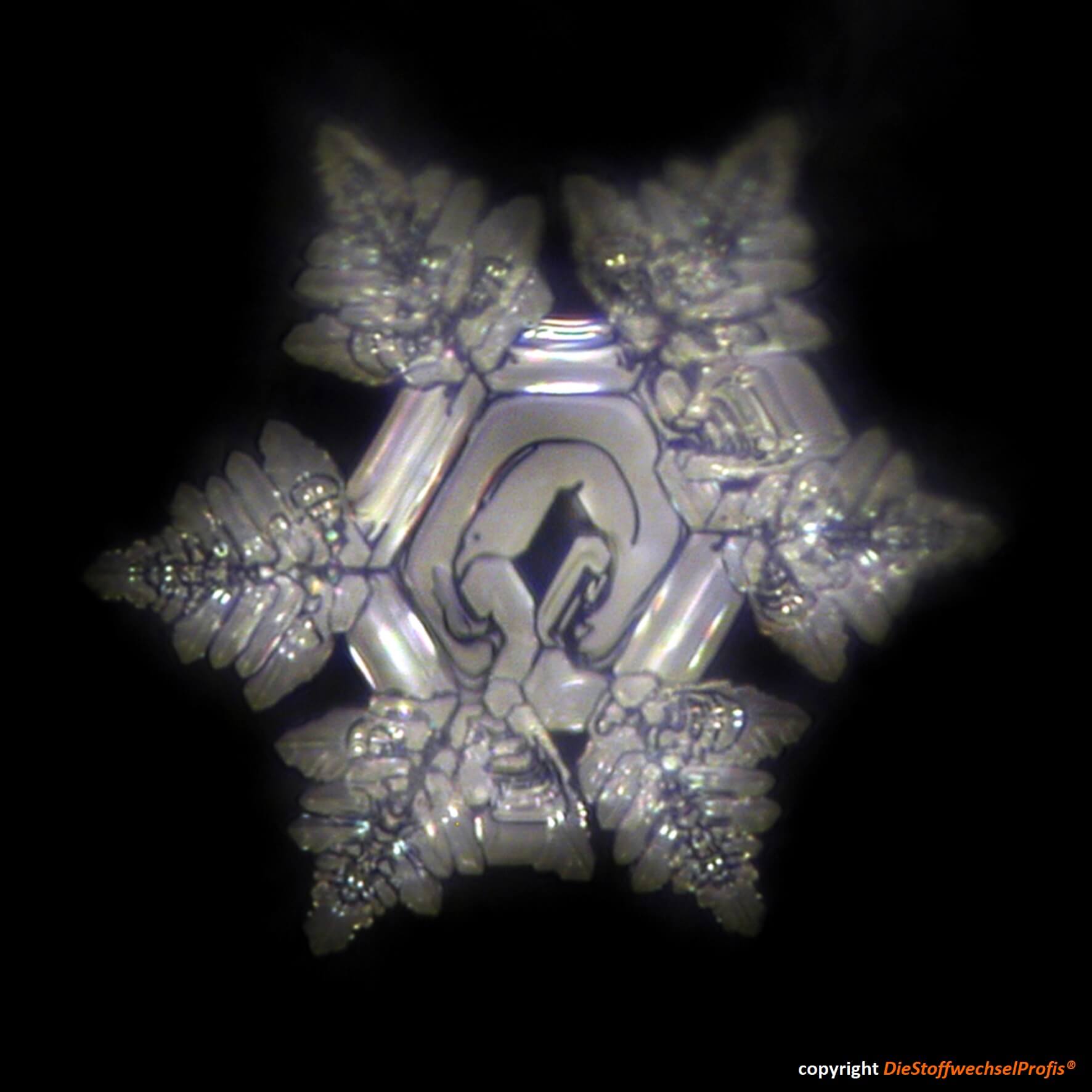 c-4914_glasuntersetzer-copyright_29 Hochenergie-Scheibe aus Glas by DieStoffwechselProfis® mit 90.10.® Quanten-Technologie