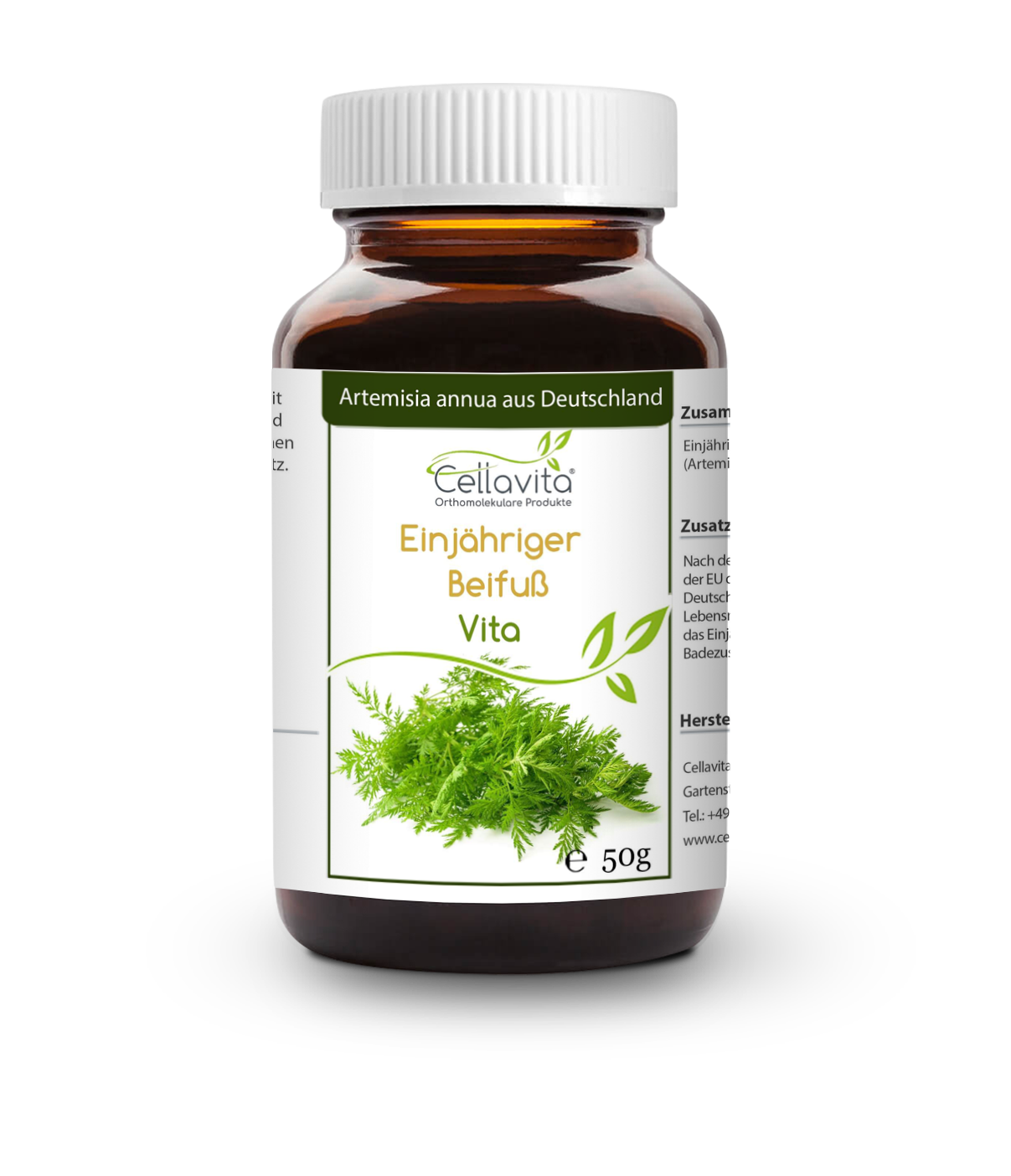 Artemisia Annua Einjähriger Beifuß 