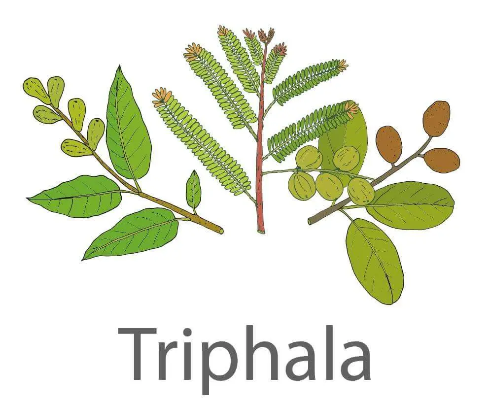 Superfood Triphala bio 180 Kapseln im Glas
