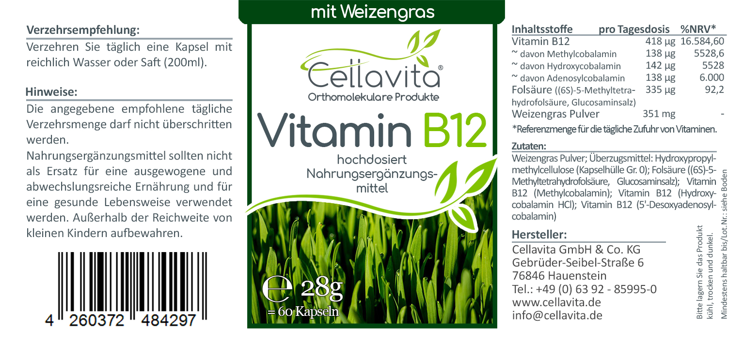Vitamin B12 hochdosiert Kapseln 