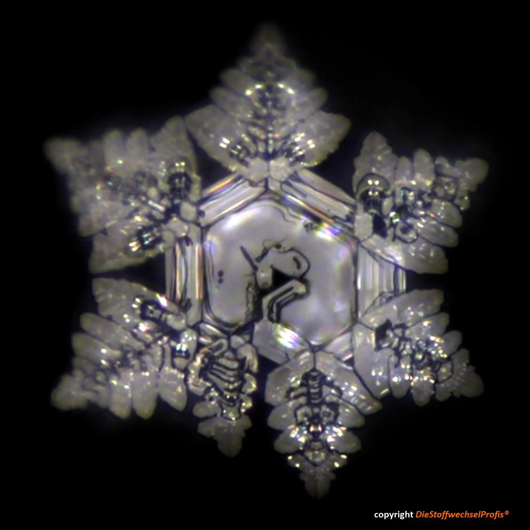 Hochenergie-Scheibe aus Glas by DieStoffwechselProfis® mit 90.10.® Quanten-Technologie