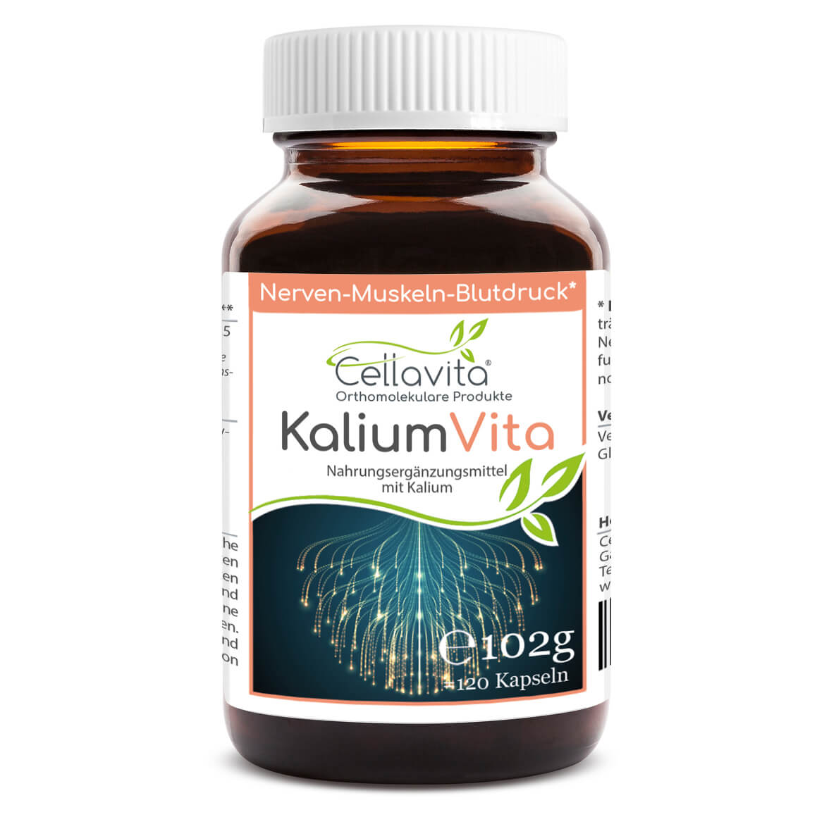 Kalium Vita Kapseln (Nerven-Muskeln-Blutdruck) 