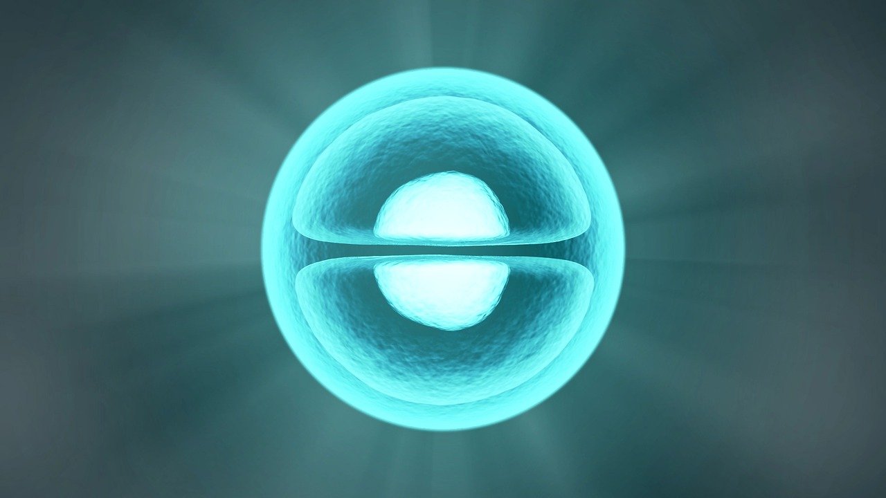 D-Ribose Vita Pulver 500g Vorratsbeutel